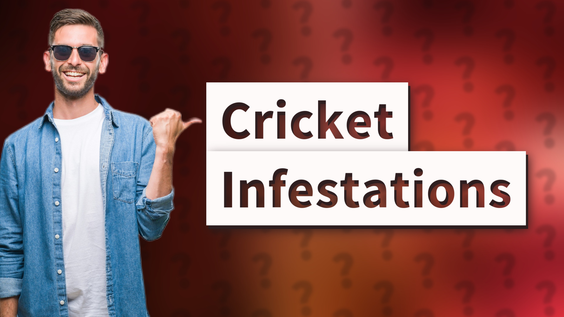 Cricket Infestations