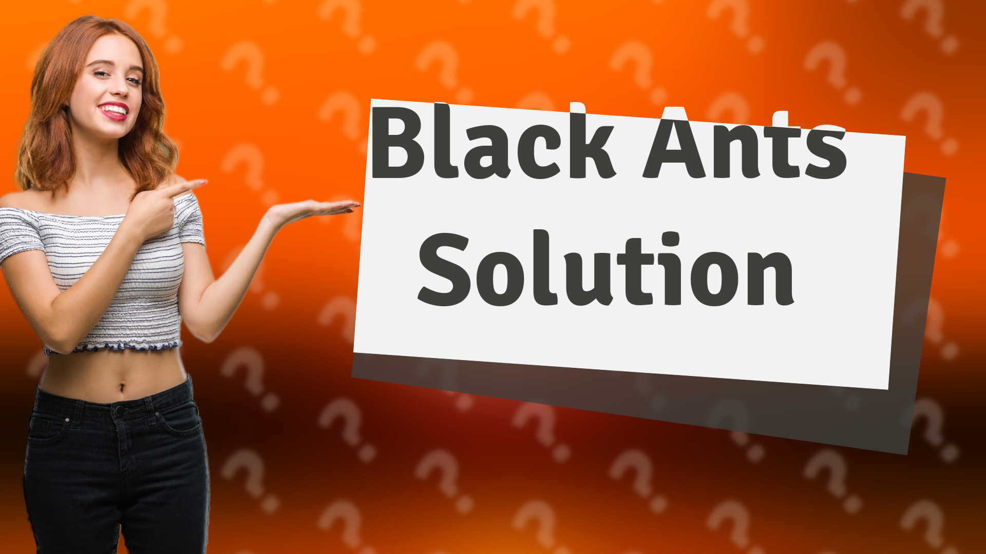 Black Ants Solution