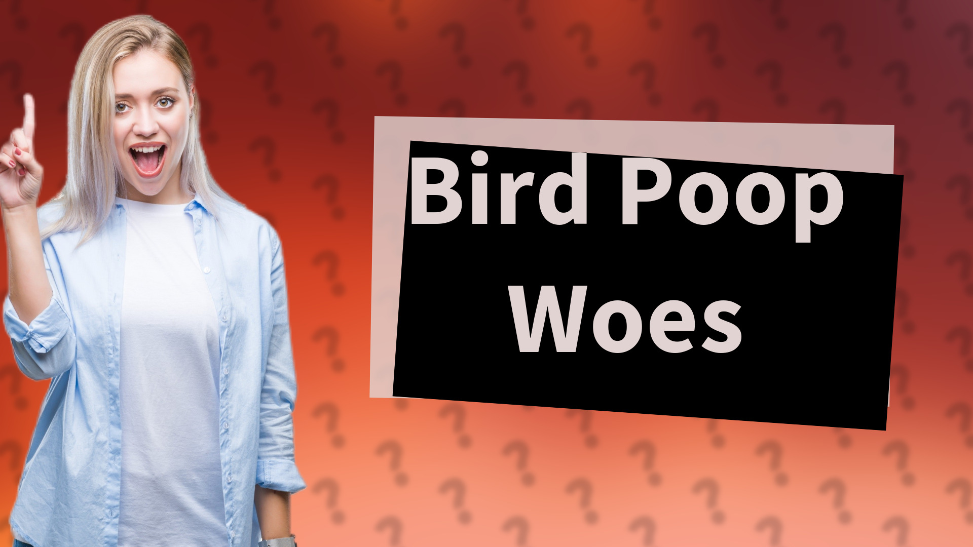 Bird Poop Woes