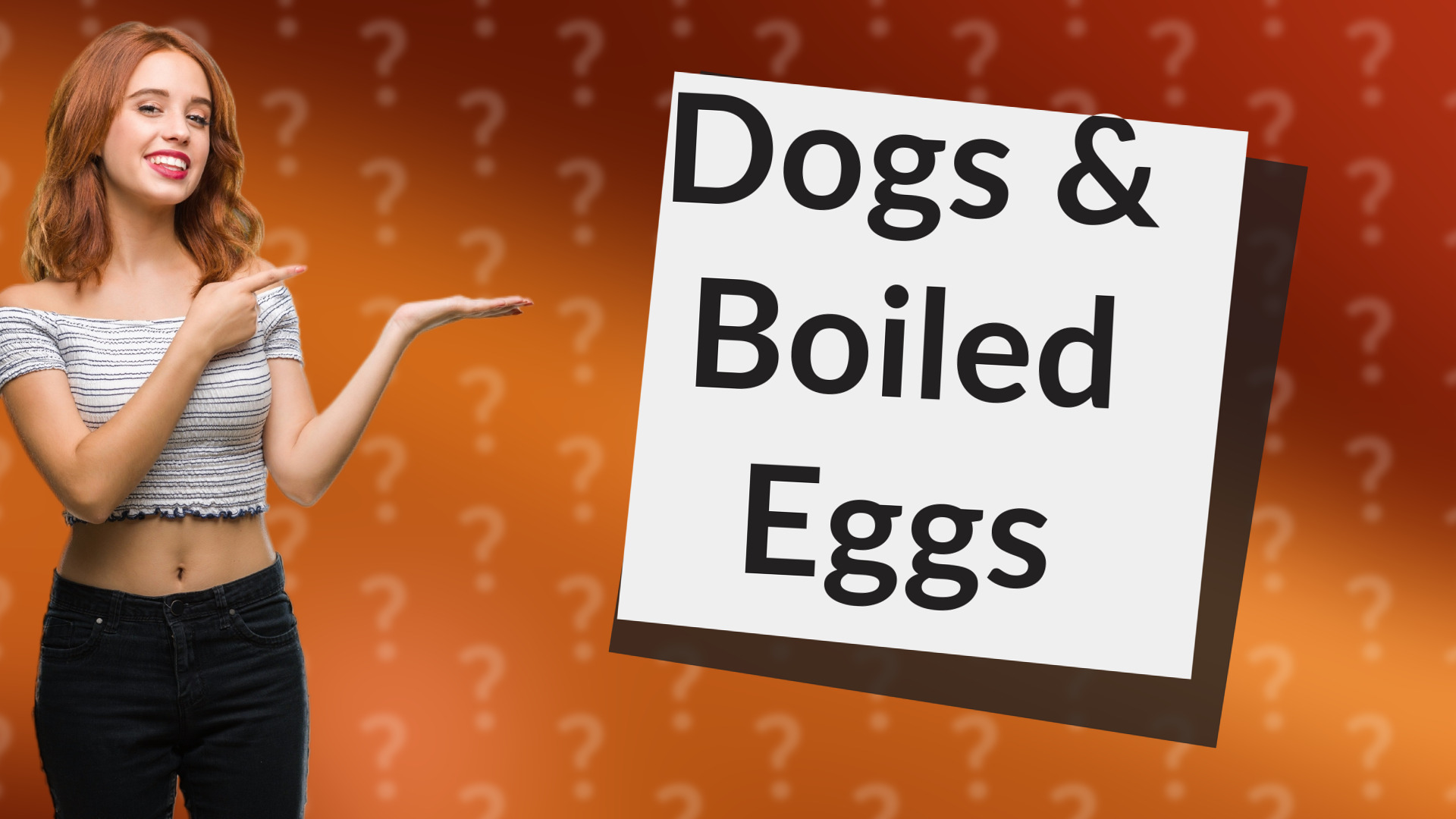 Dogs & Boiled Eggs