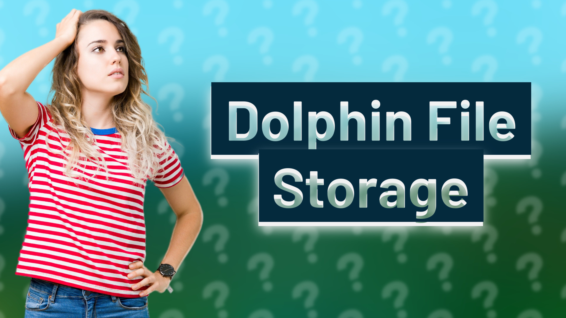Dolphin File Storage