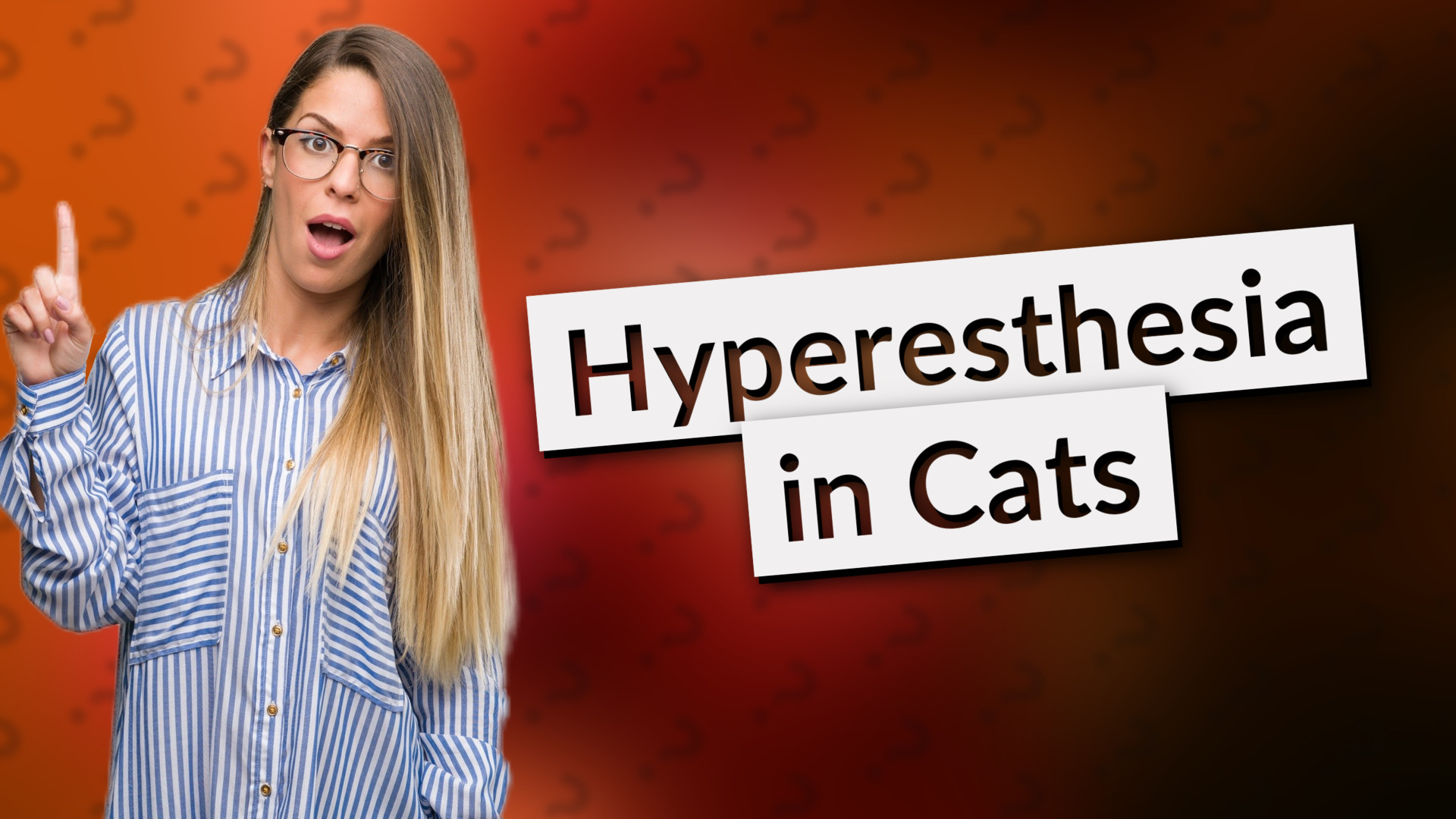 Hyperesthesia in Cats