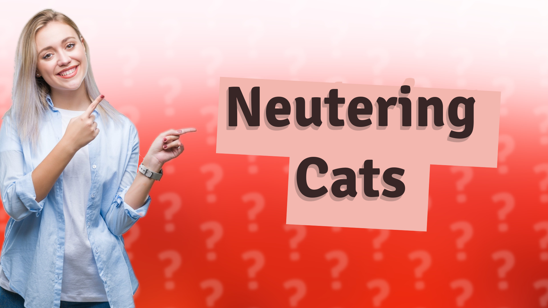 Neutering Cats
