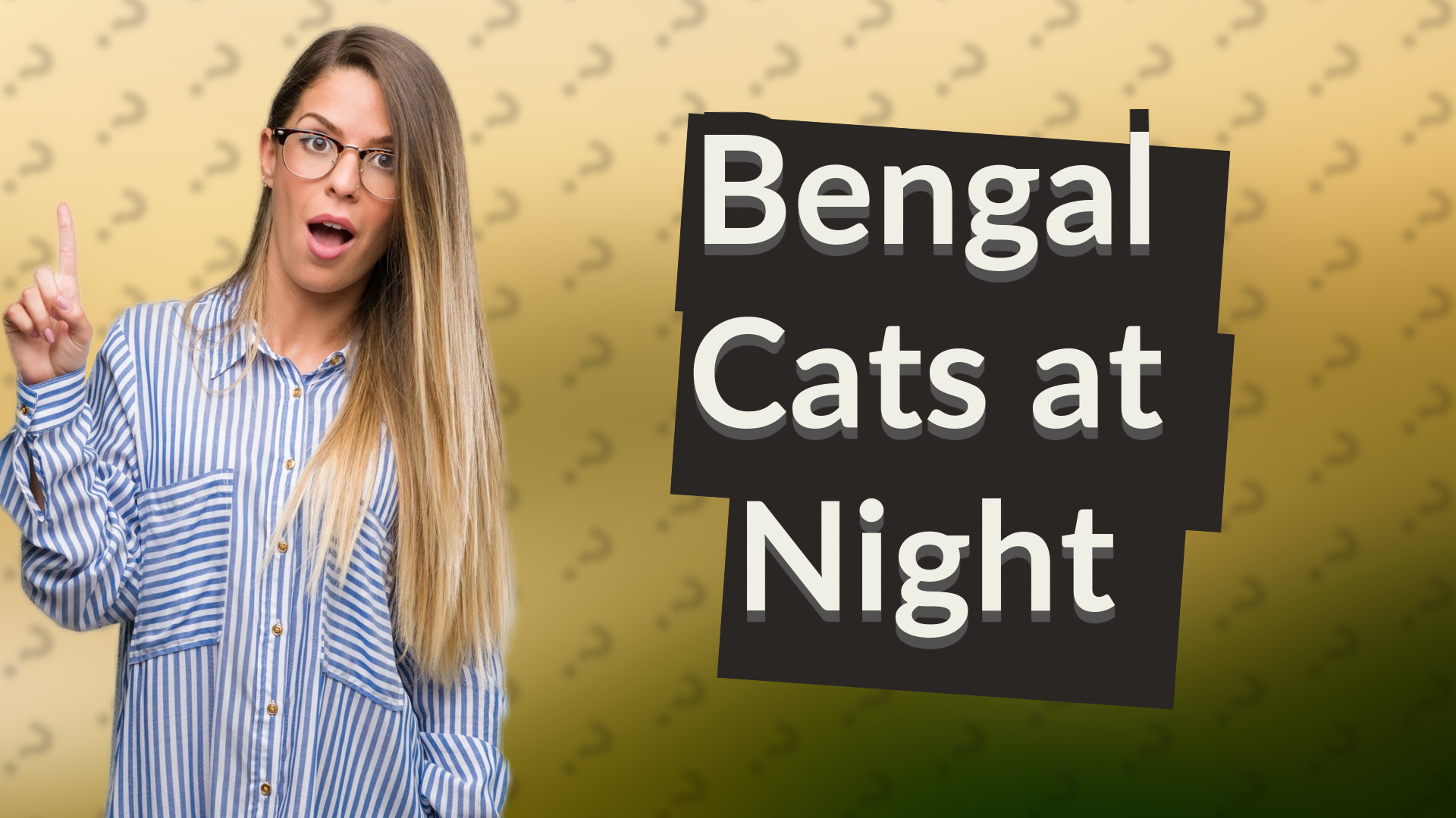 Bengal Cats at Night