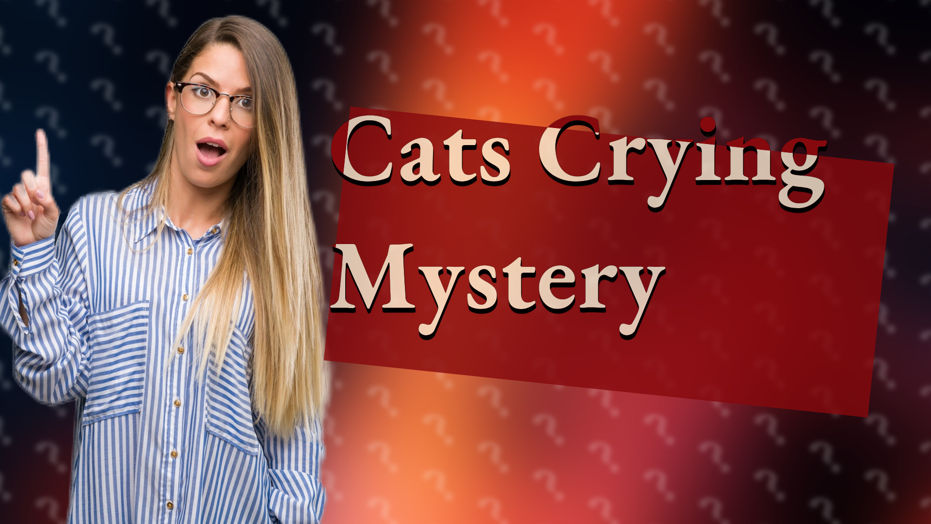 Cats Crying Mystery