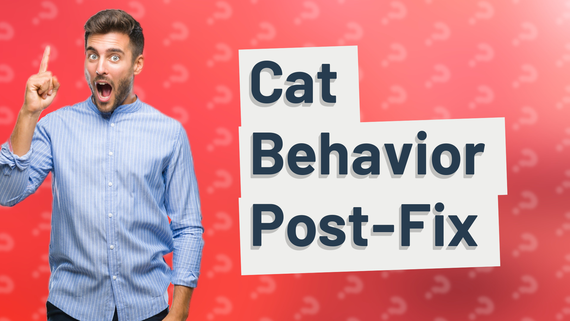 Cat Behavior Post-Fix