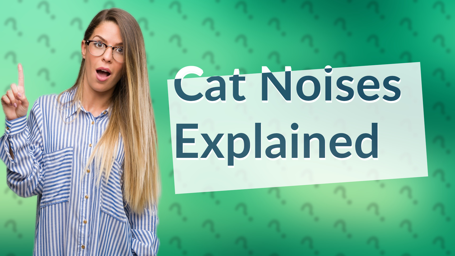 Cat Noises Explained