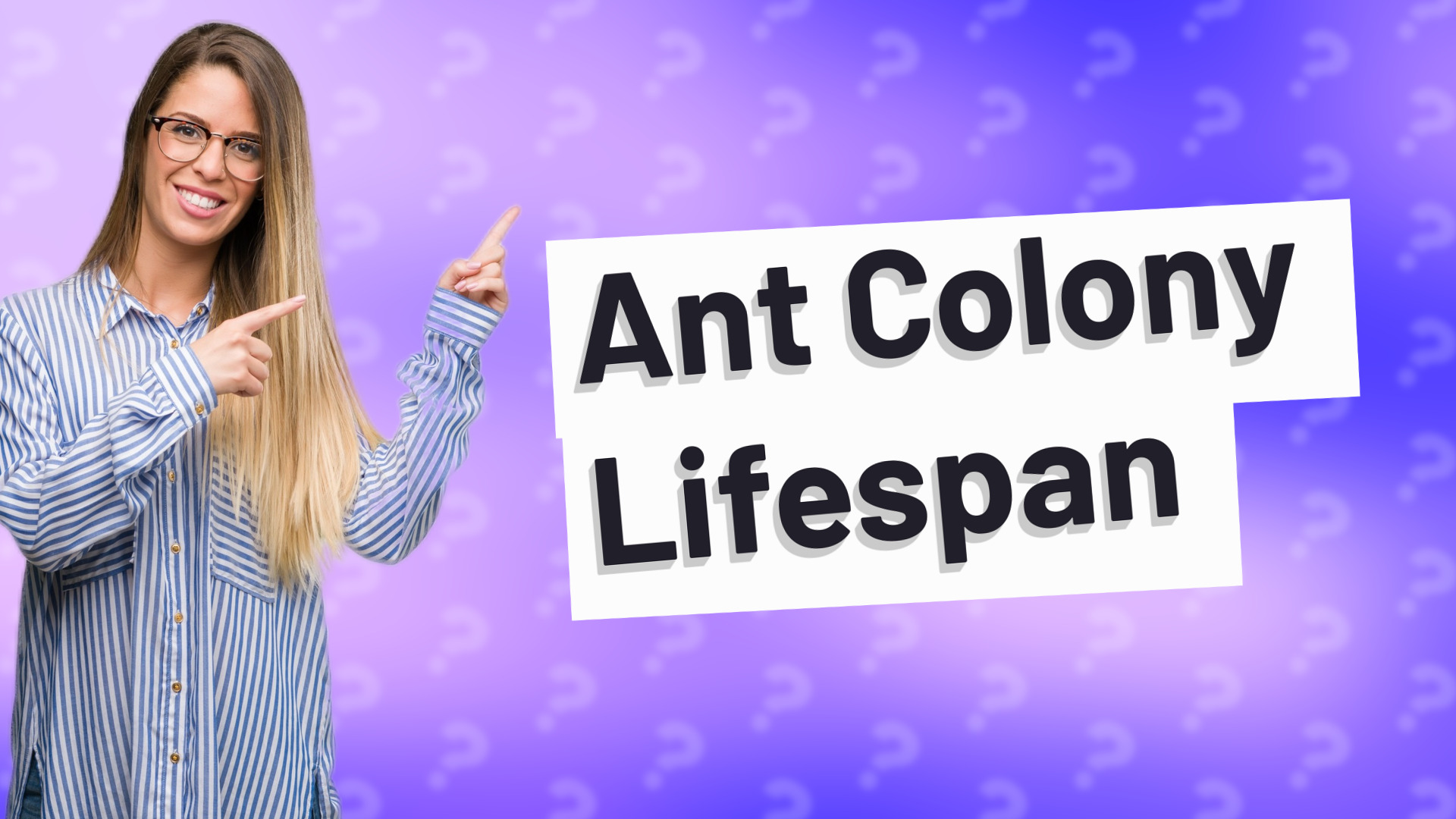 Ant Colony Lifespan