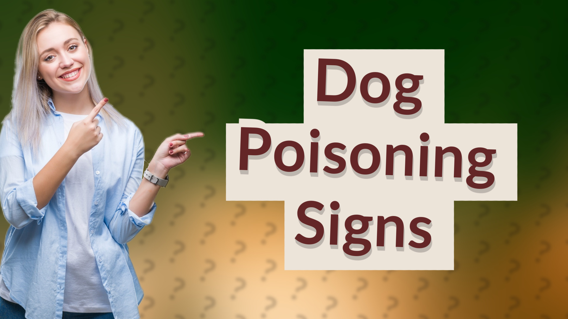 Dog Poisoning Signs