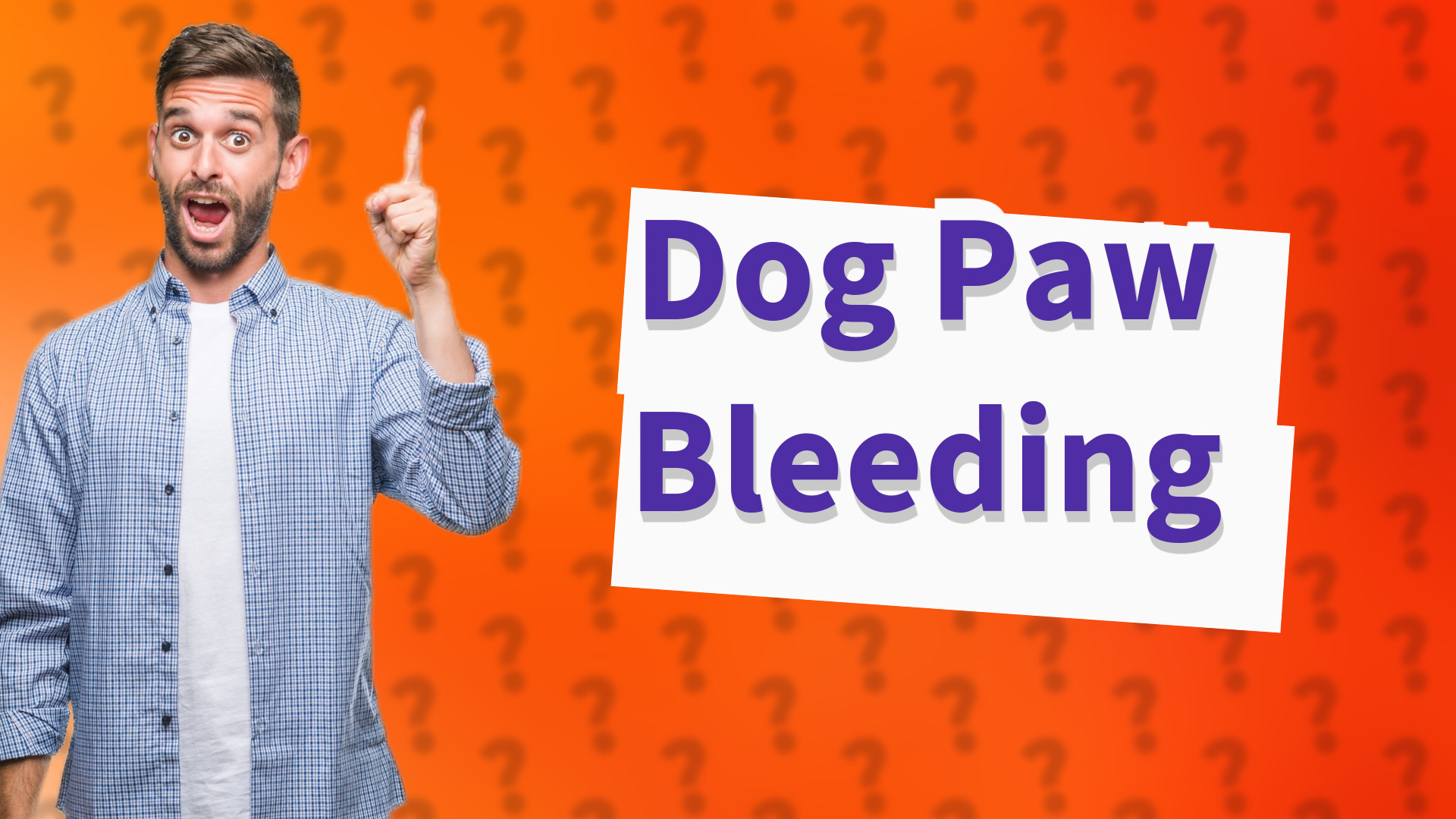 Dog Paw Bleeding