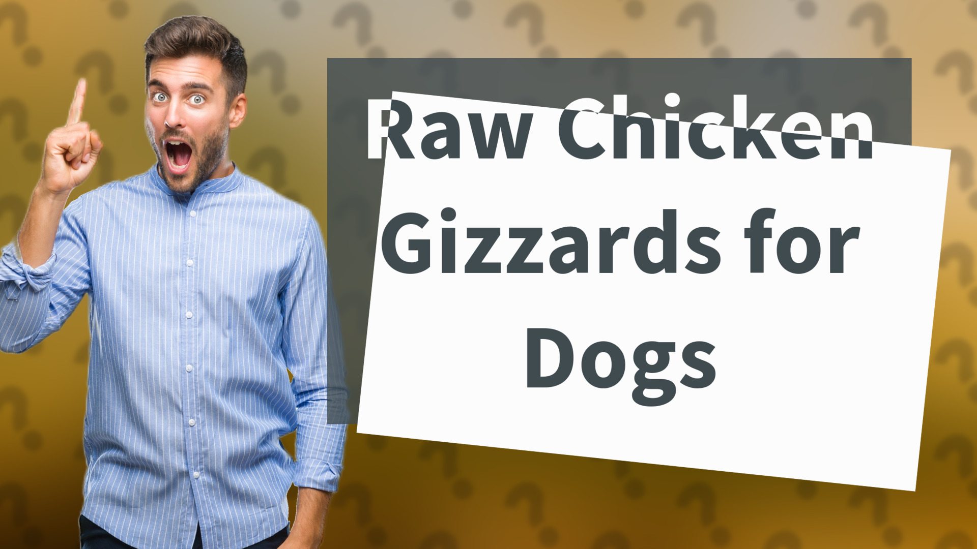Raw Chicken Gizzards for Dogs