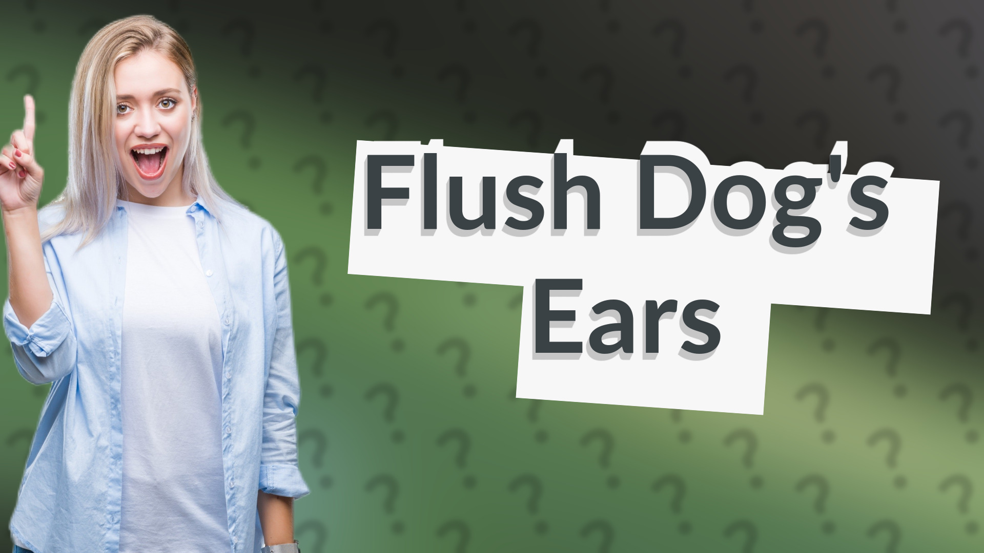 Flush Dog's Ears