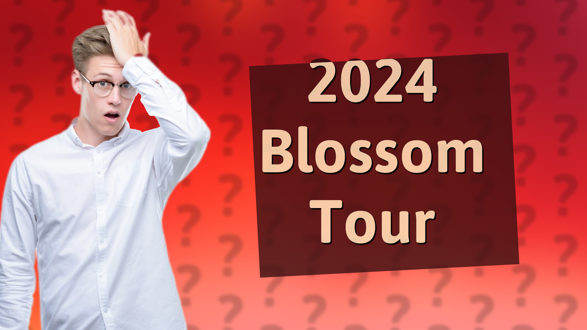 2024 Blossom Tour