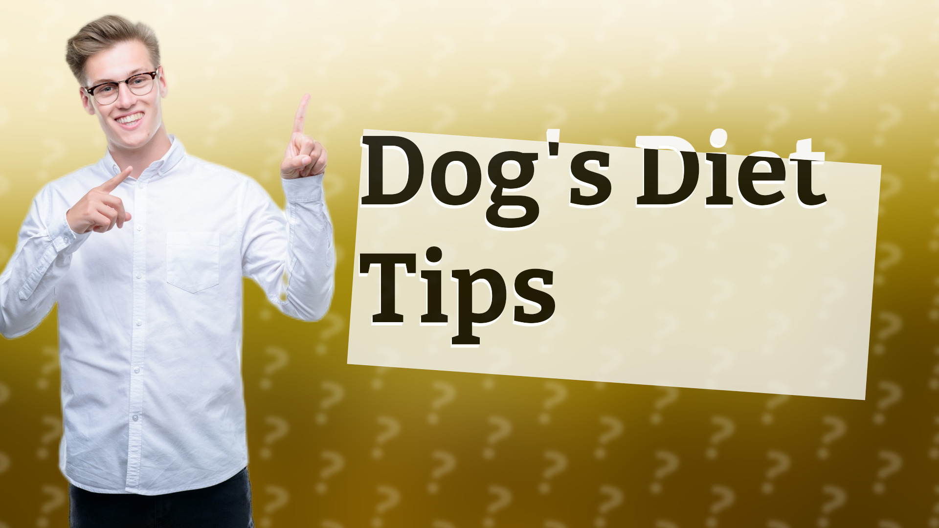 Dog's Diet Tips