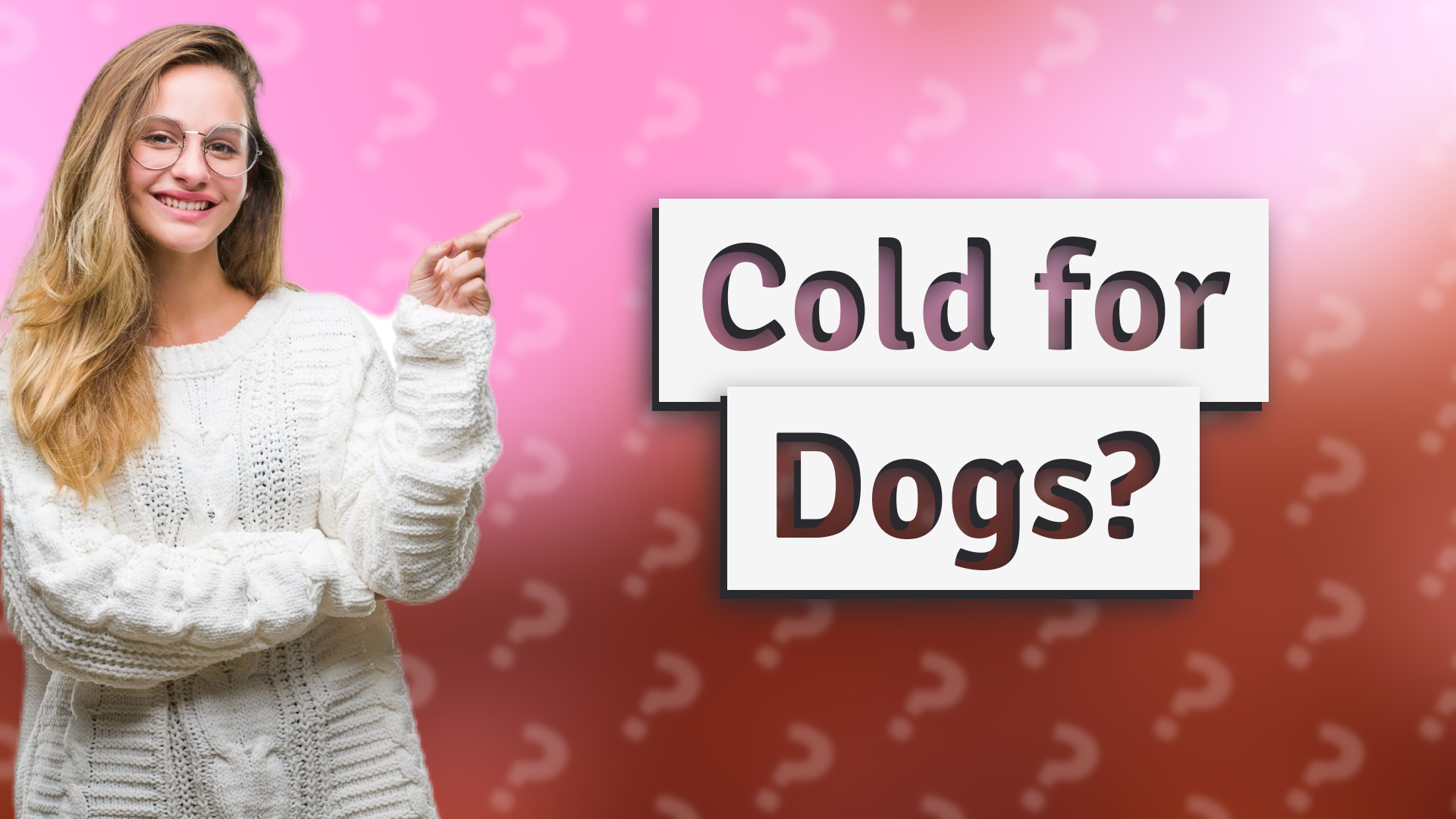 Cold for Dogs?