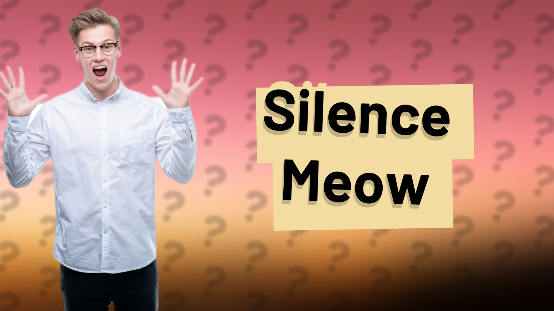 Silence Meow