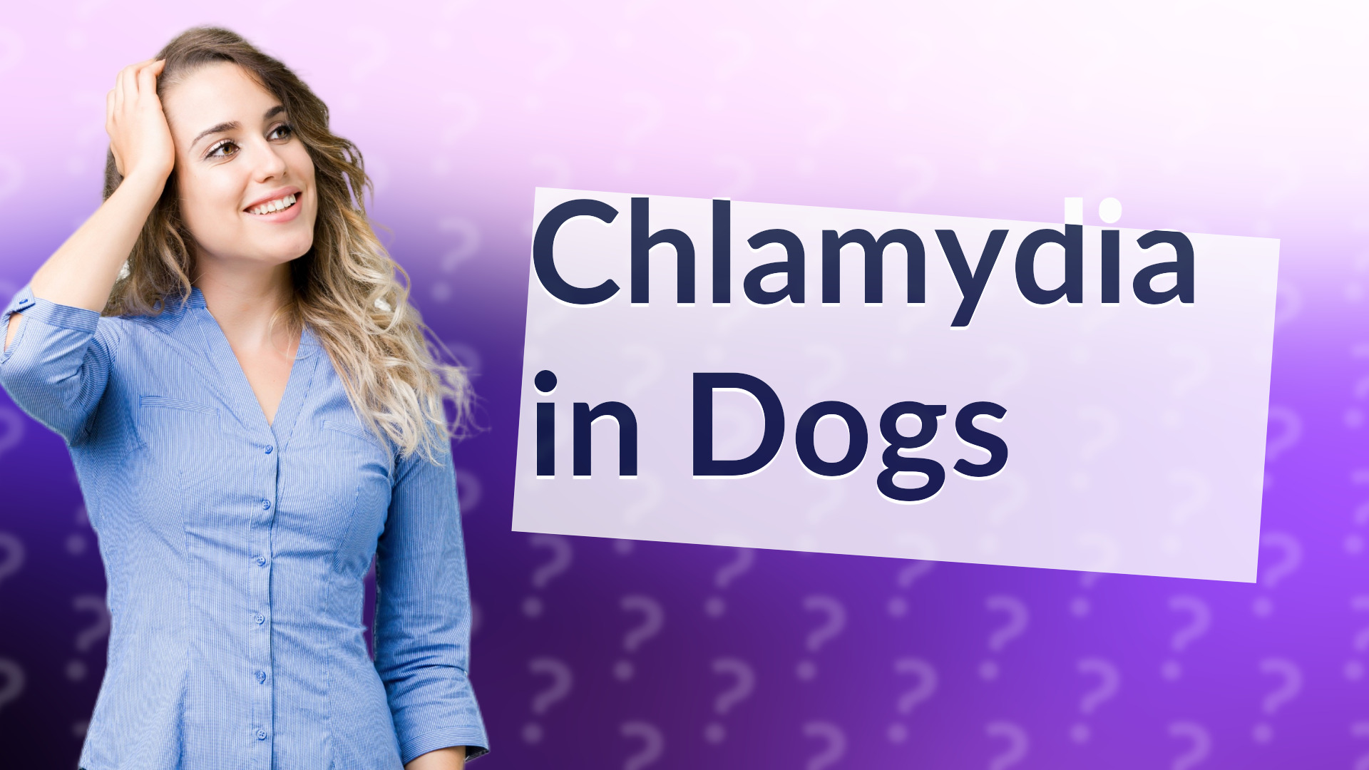 Chlamydia in Dogs