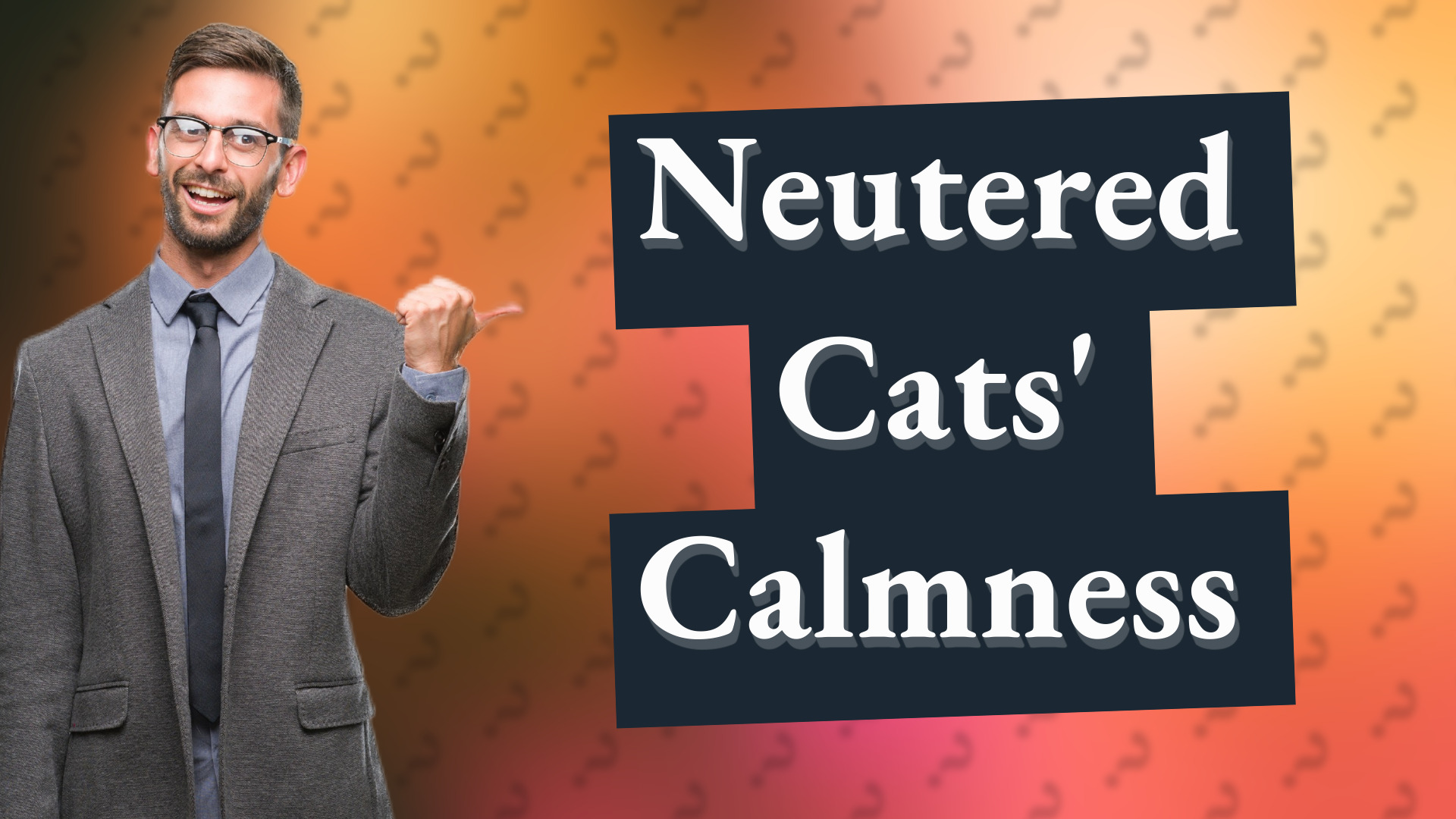 Neutered Cats' Calmness