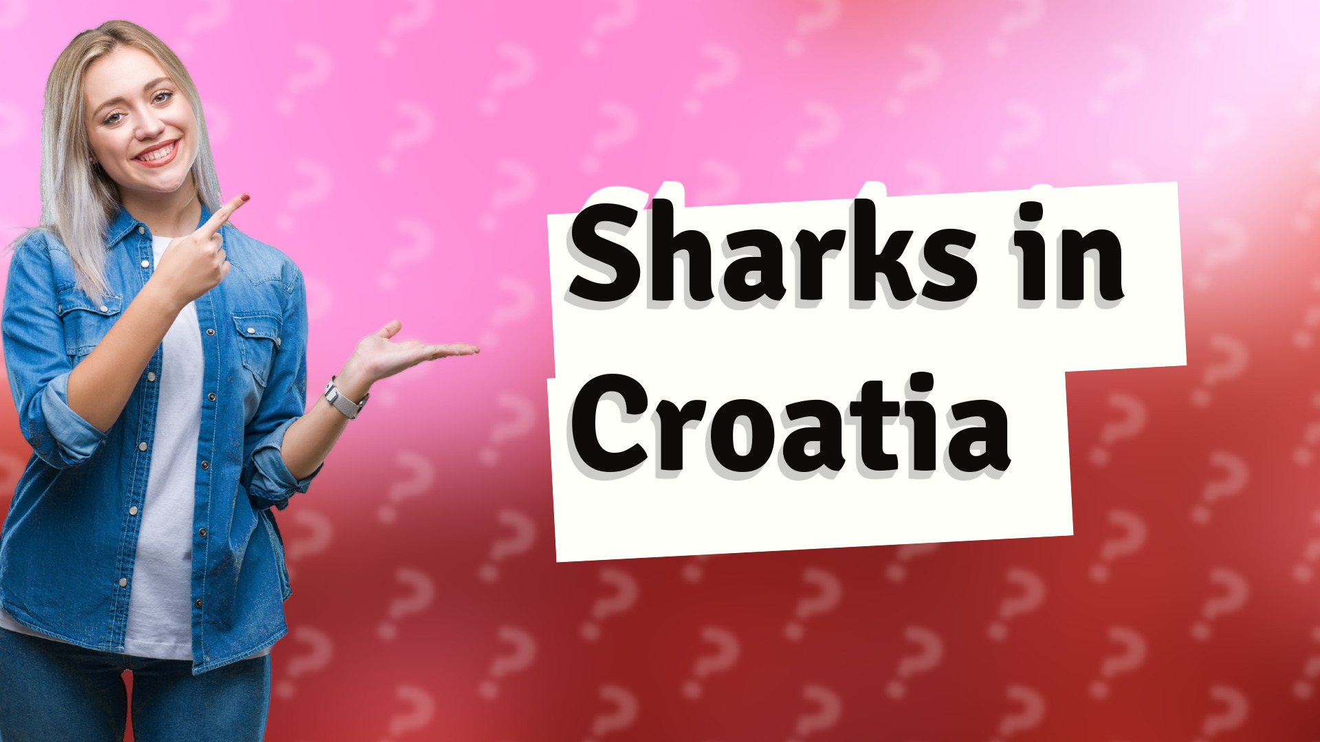 Sharks in Croatia