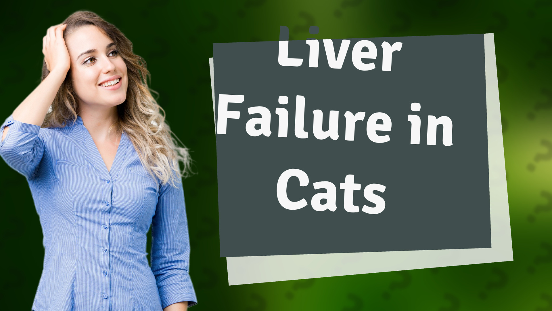 Liver Failure in Cats