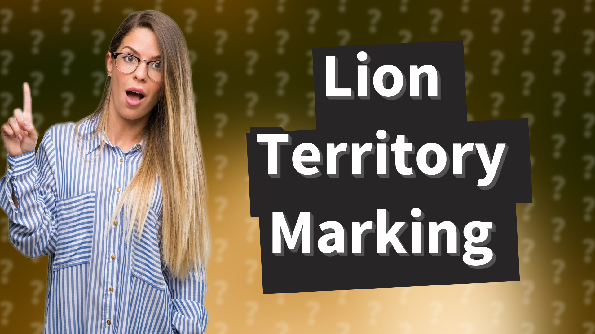 Lion Territory Marking