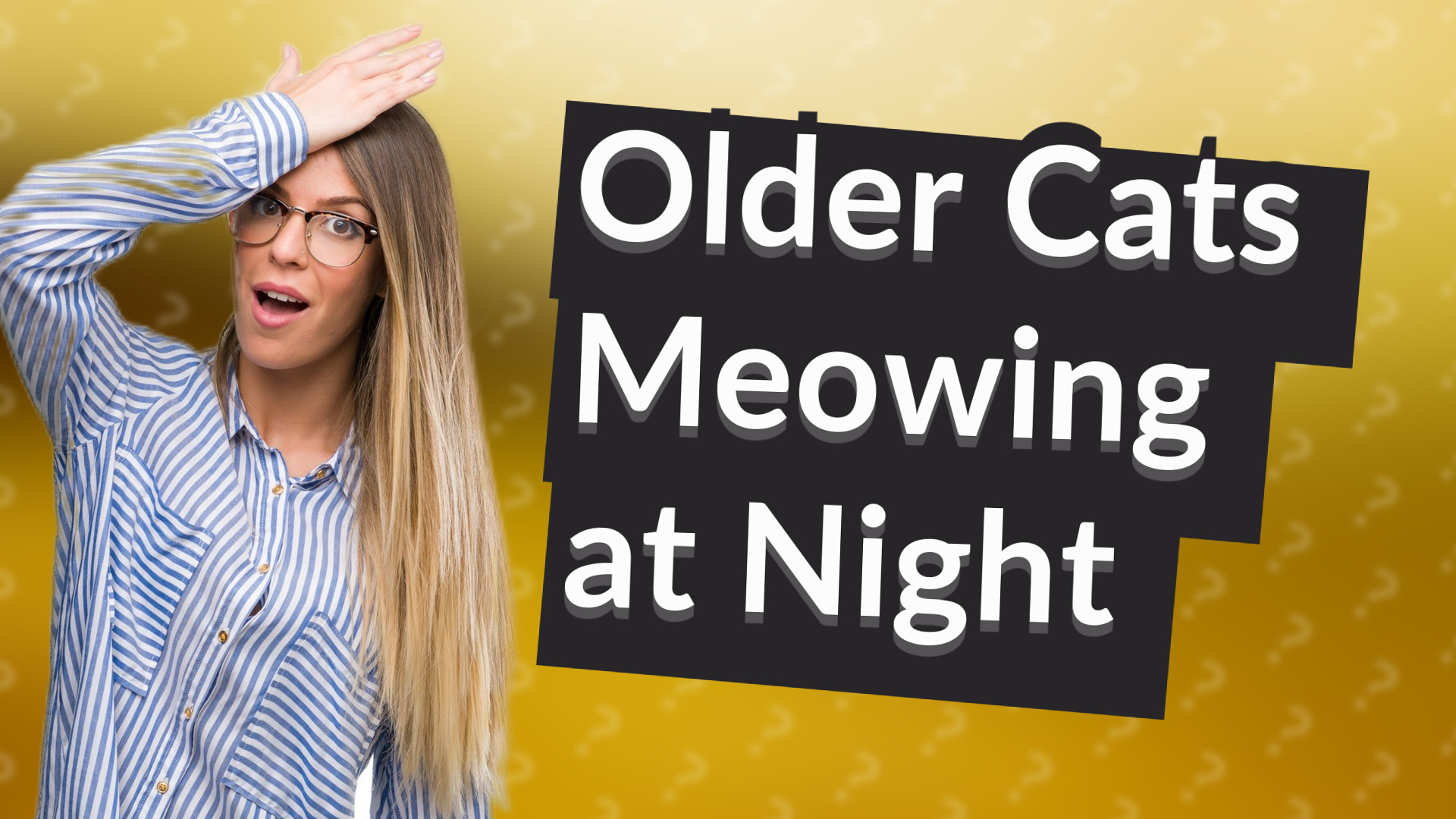 Older Cats Meowing at Night