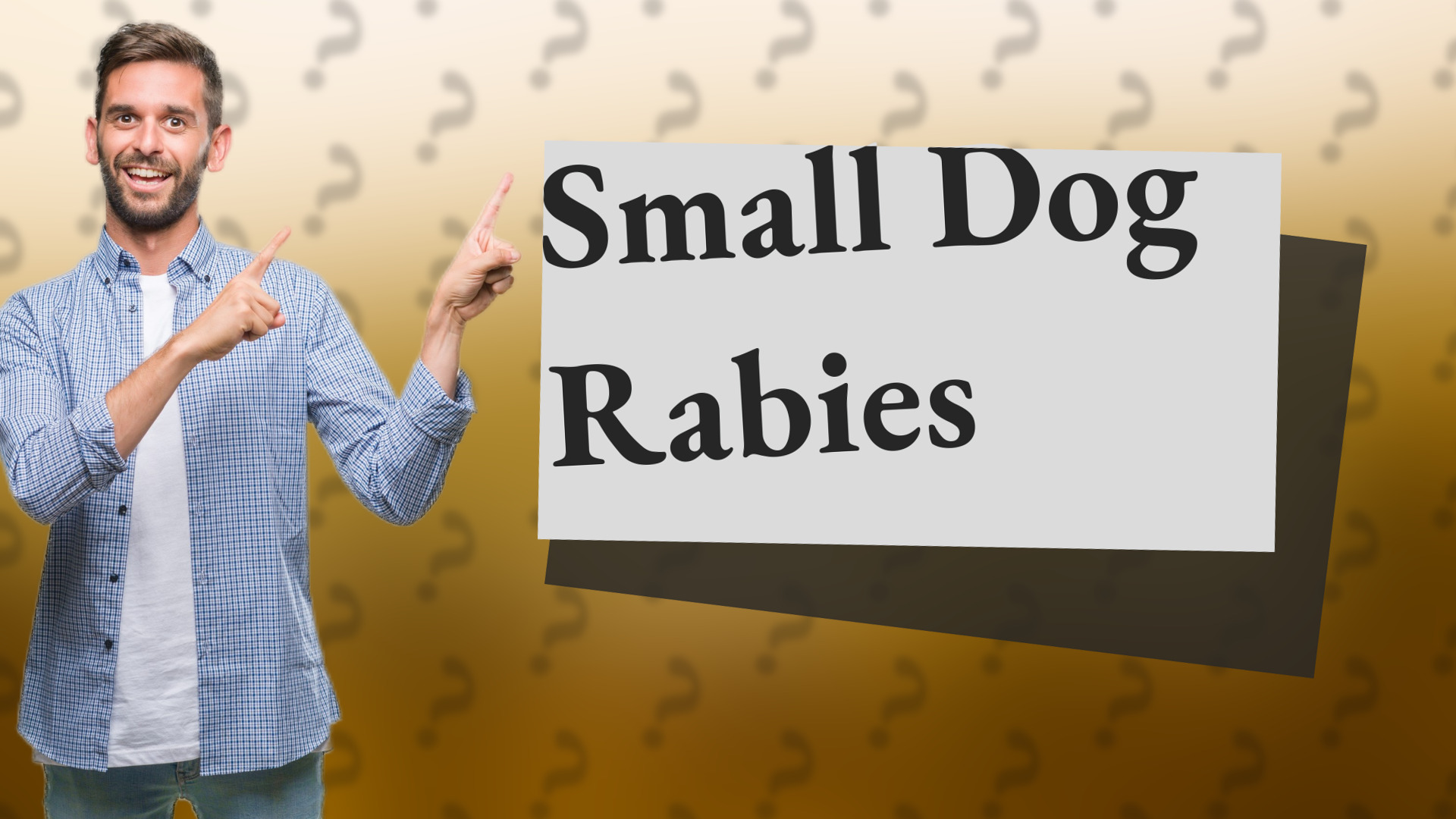 Small Dog Rabies
