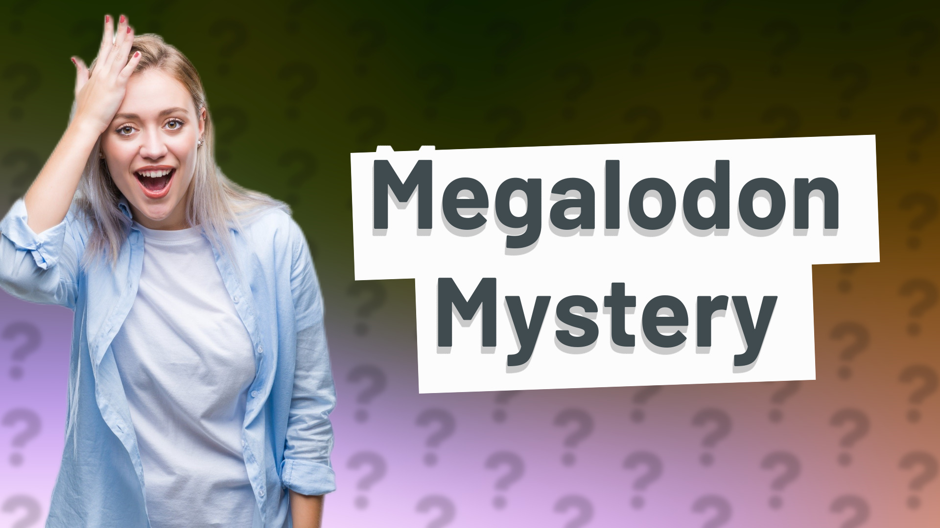 Megalodon Mystery
