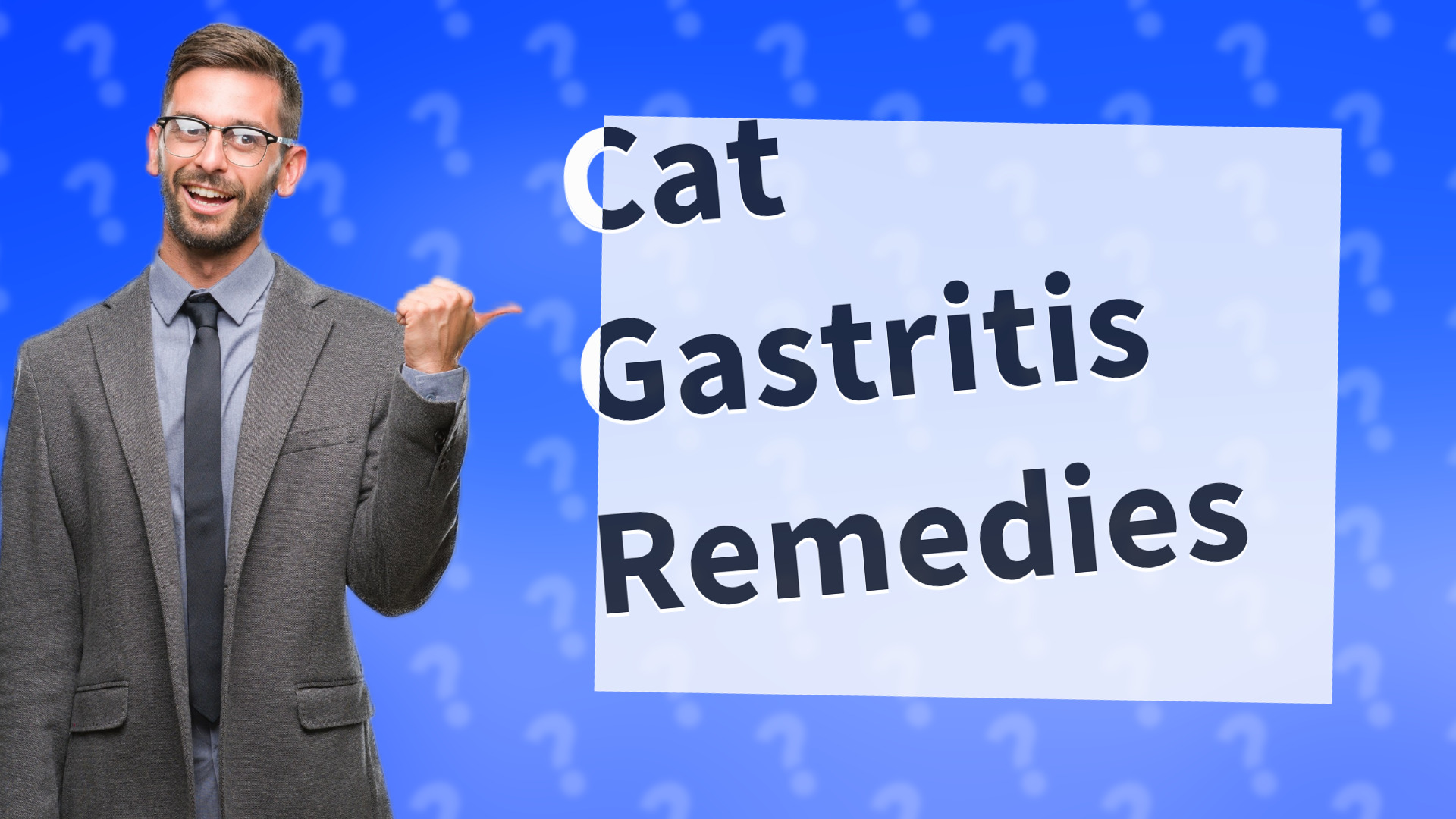 Cat Gastritis Remedies