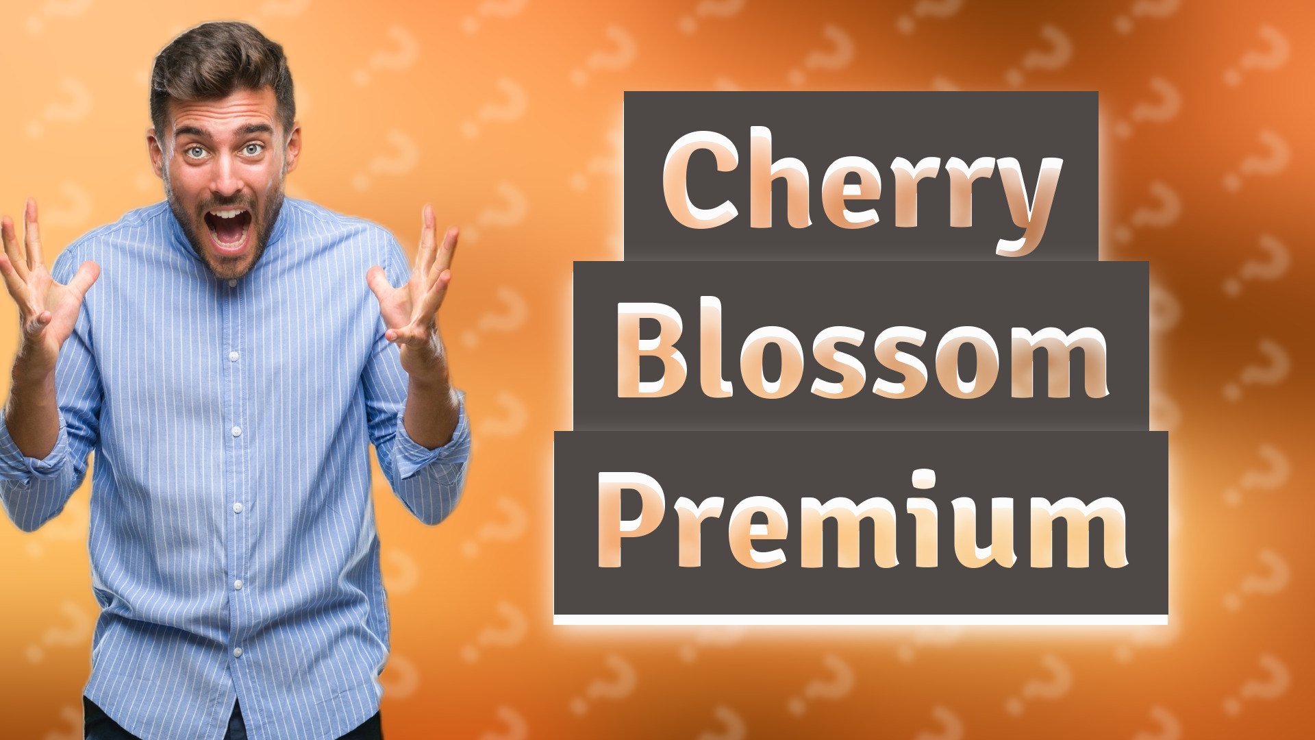 Cherry Blossom Premium