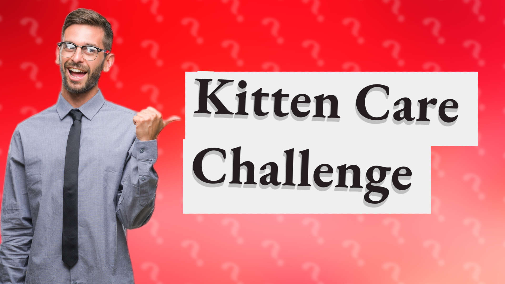 Kitten Care Challenge