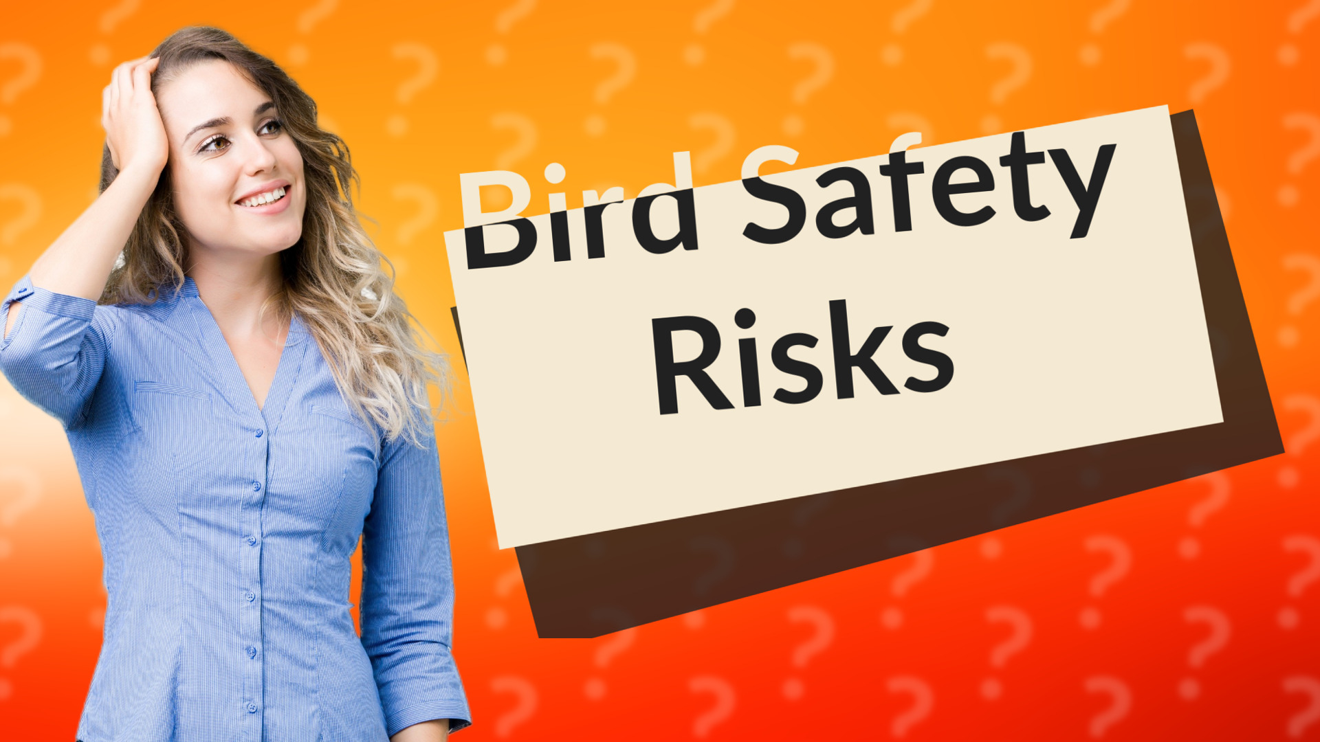 Bird Safety Risks