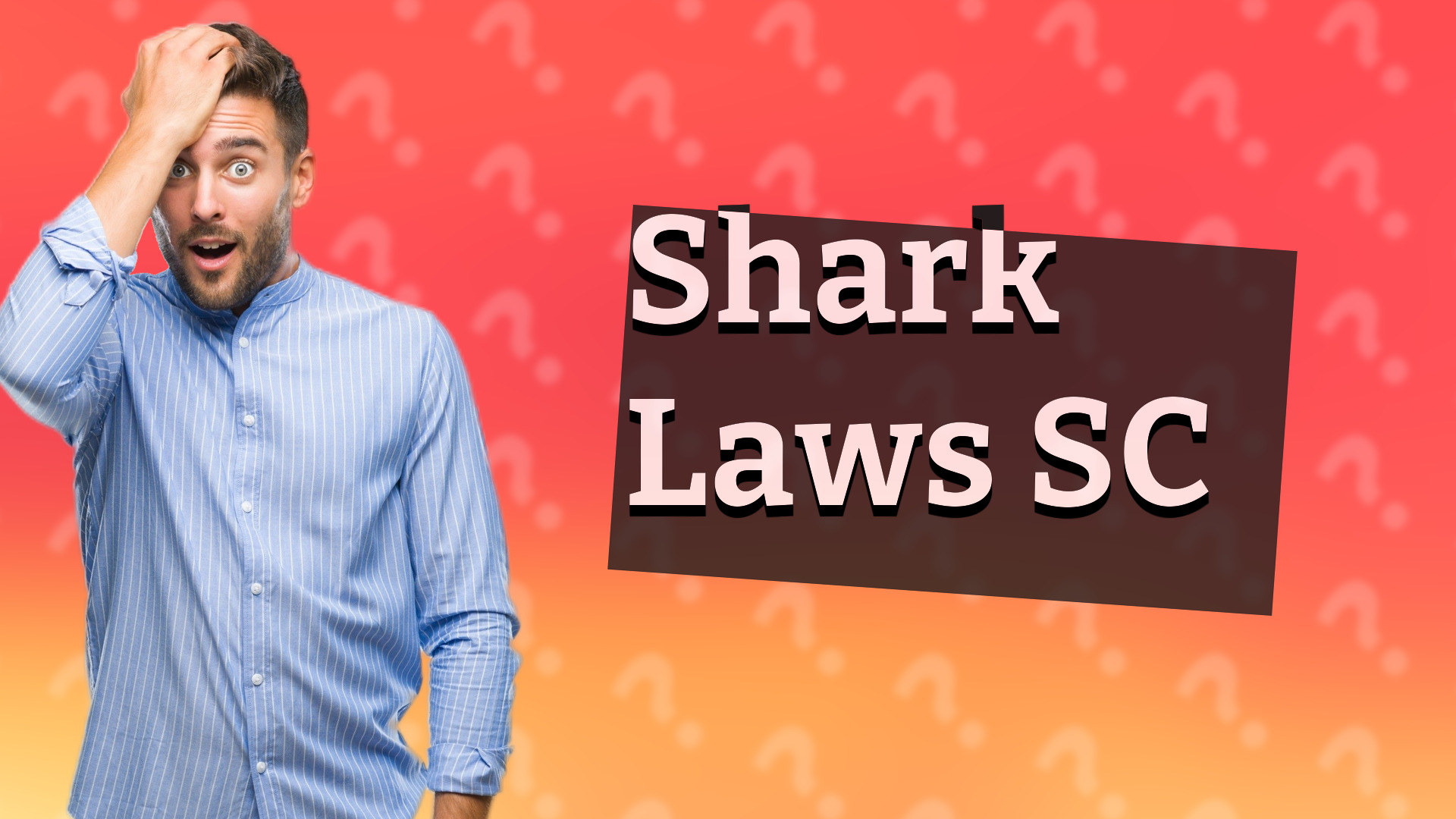 Shark Laws SC