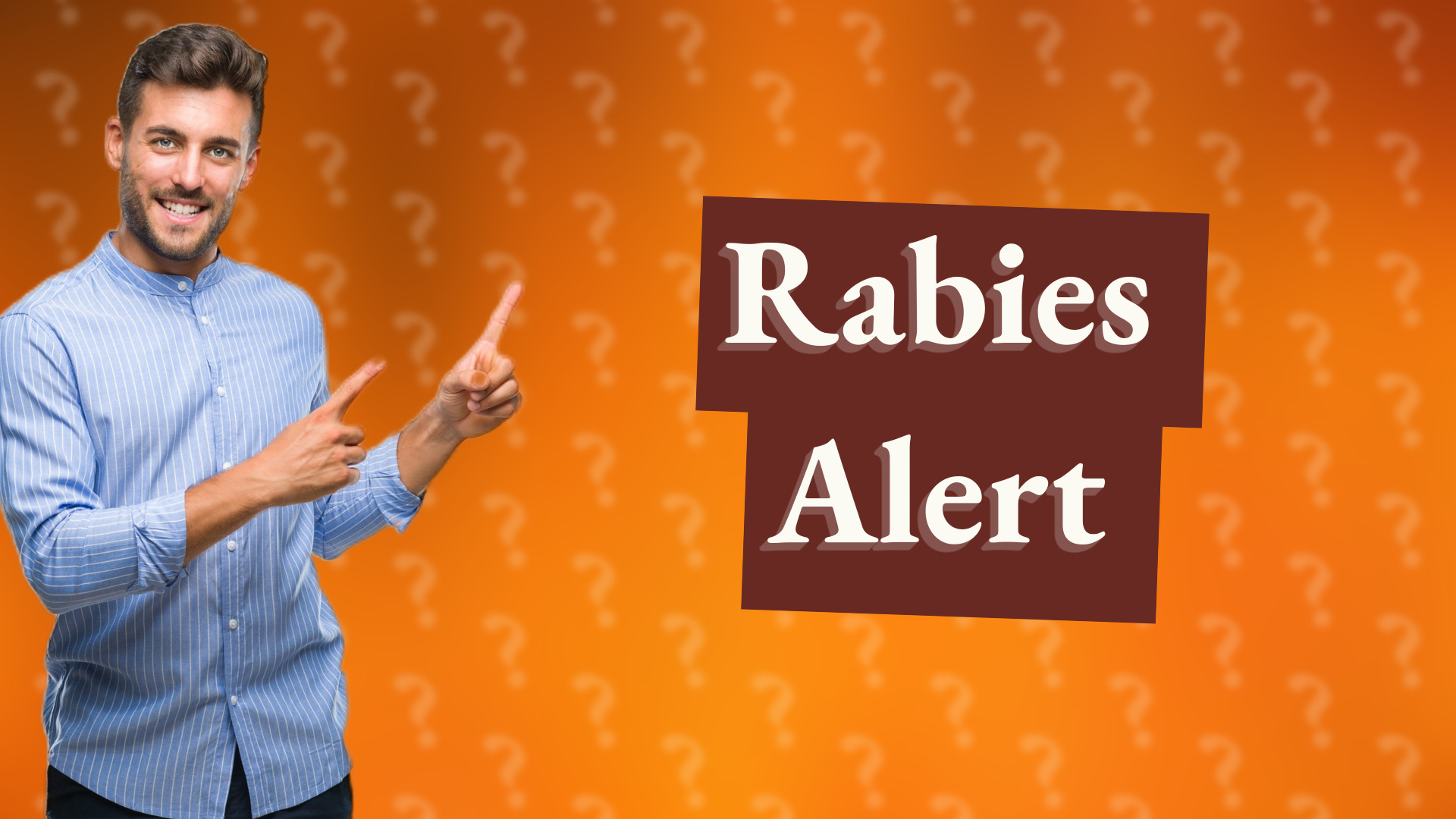 Rabies Alert