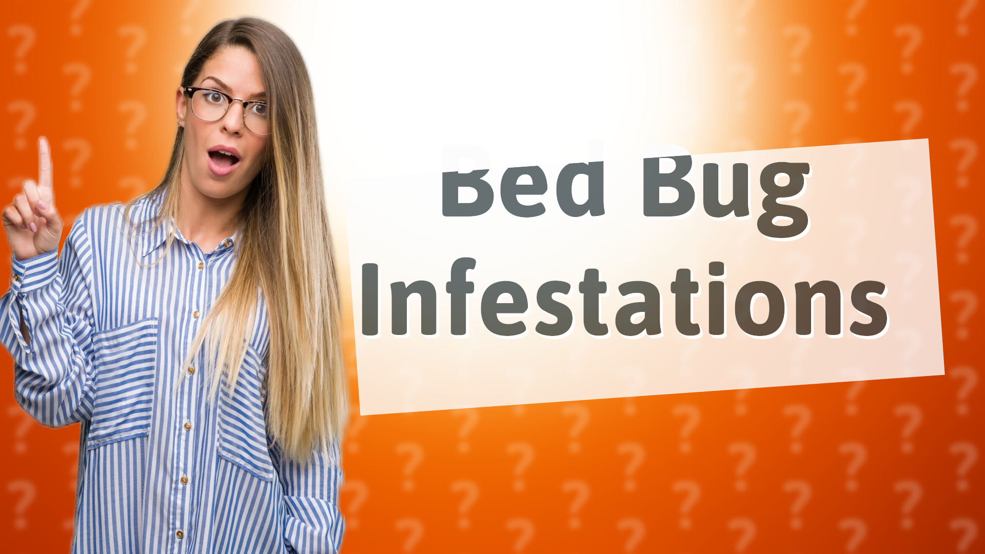 Bed Bug Infestations