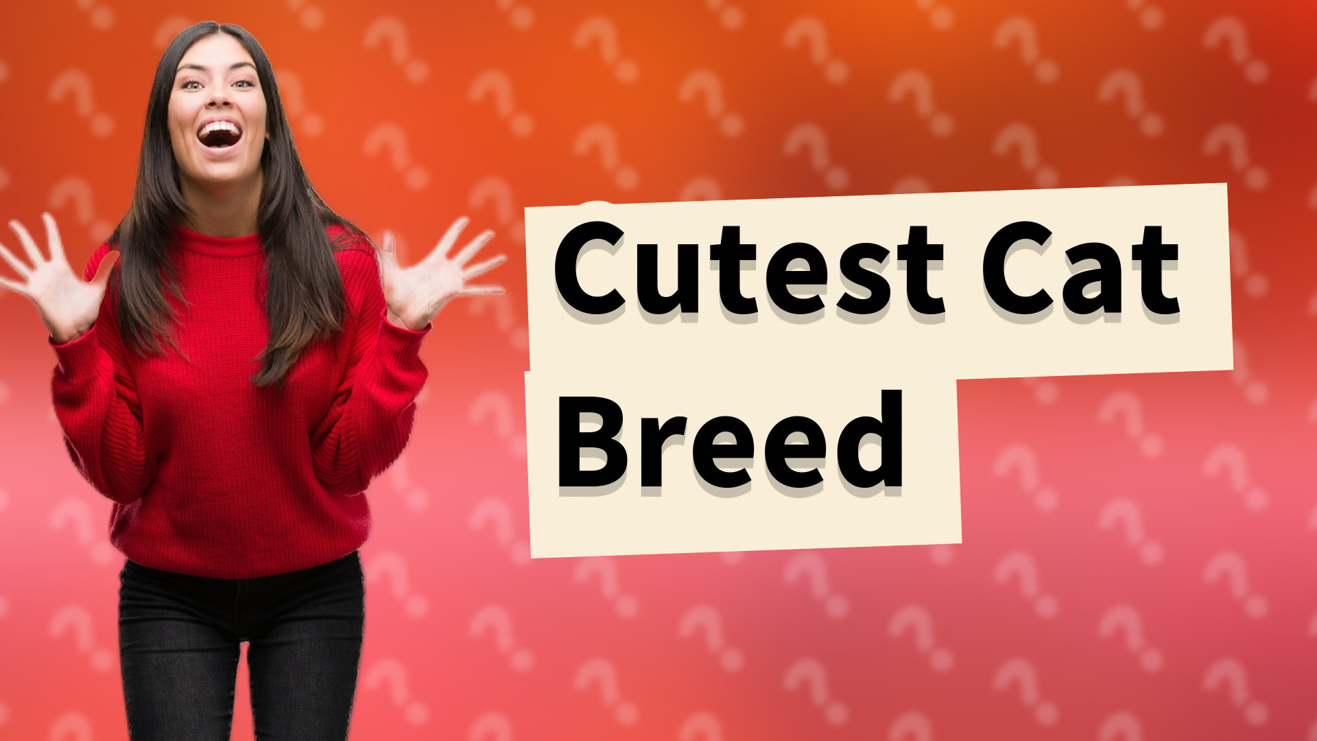 Cutest Cat Breed