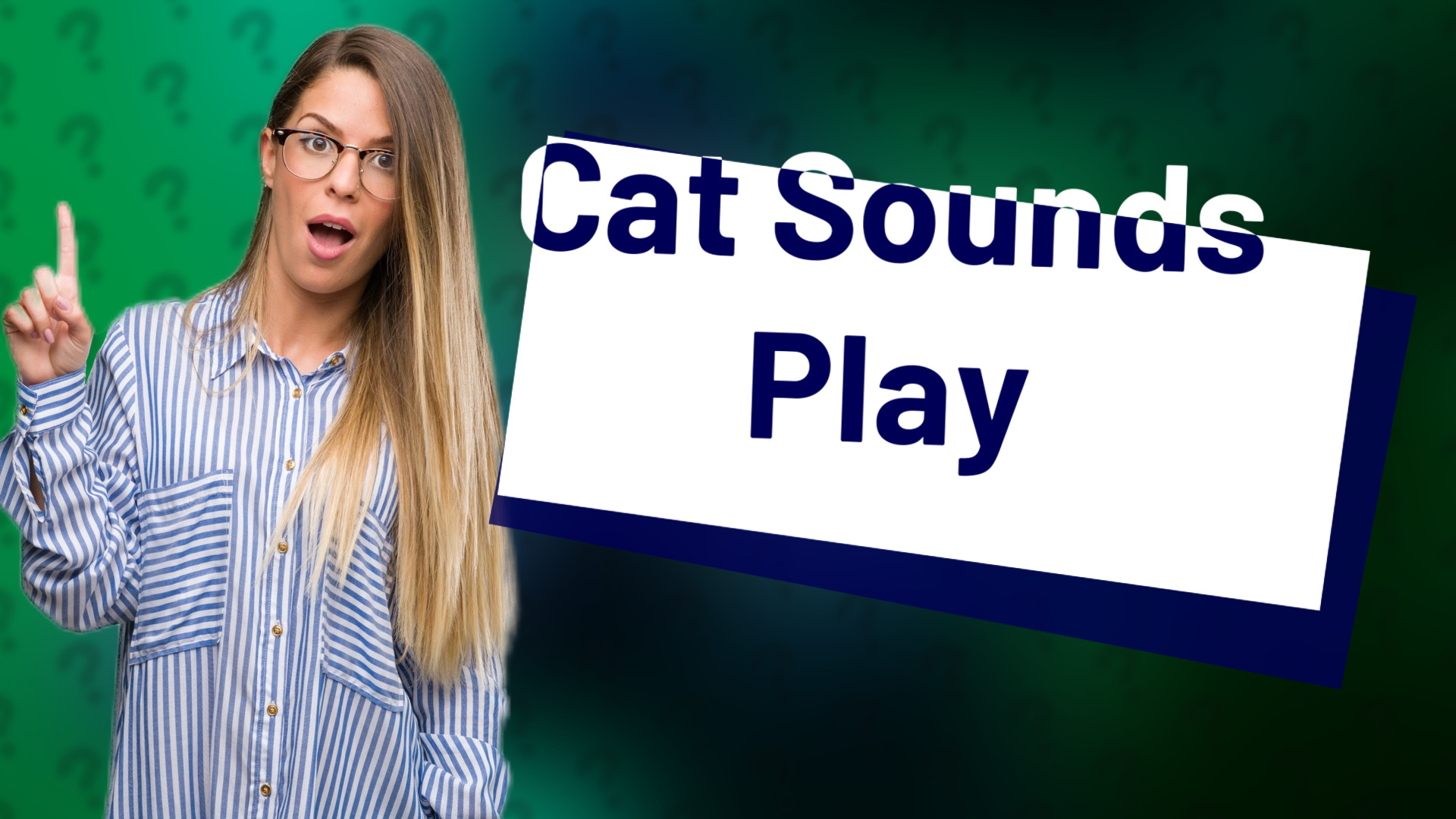 Cat Sounds Play