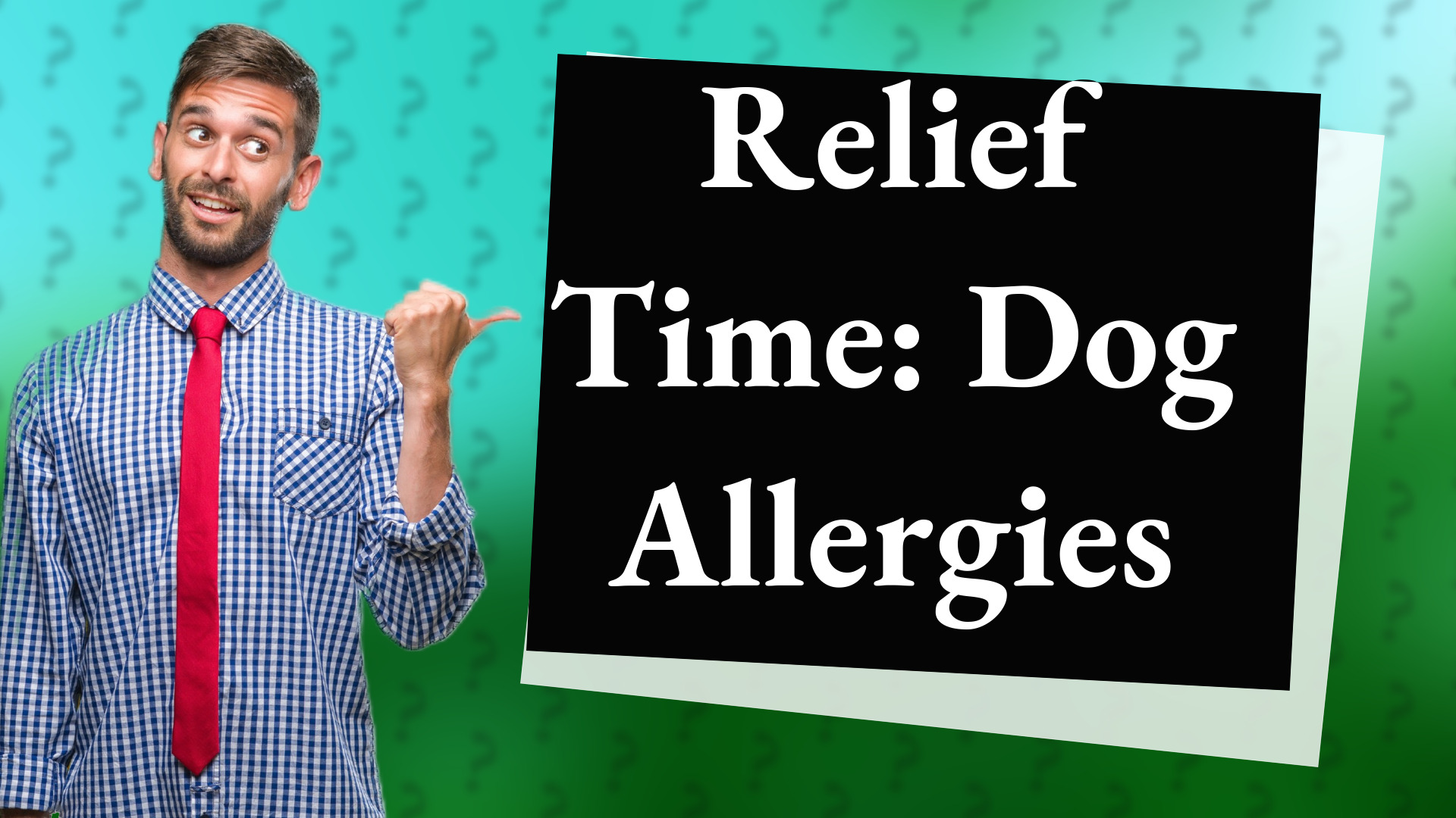Relief Time: Dog Allergies