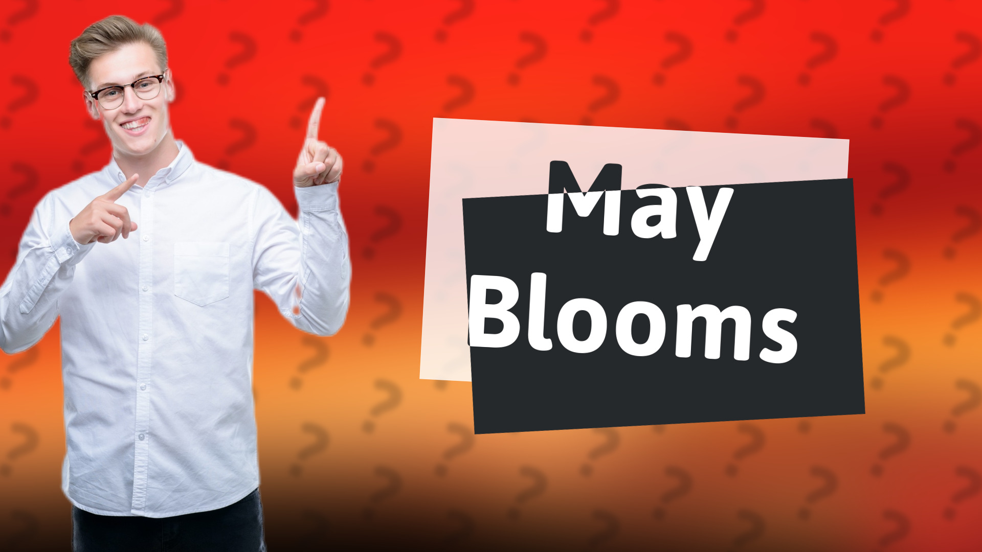 May Blooms