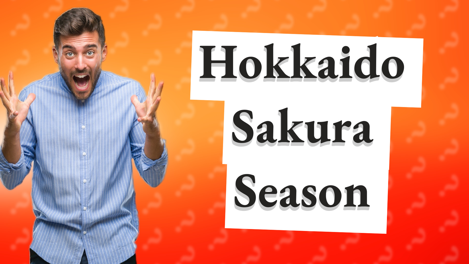 Hokkaido Sakura Season