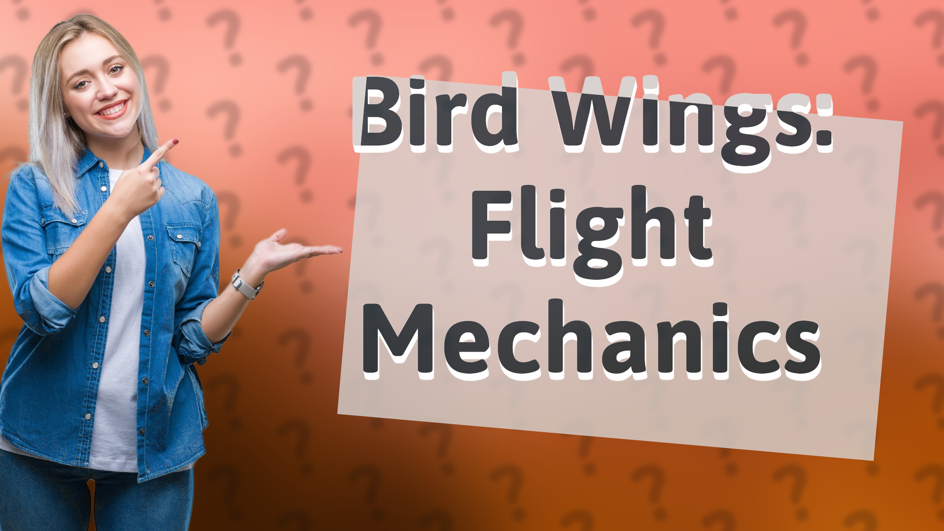 Bird Wings: Flight Mechanics