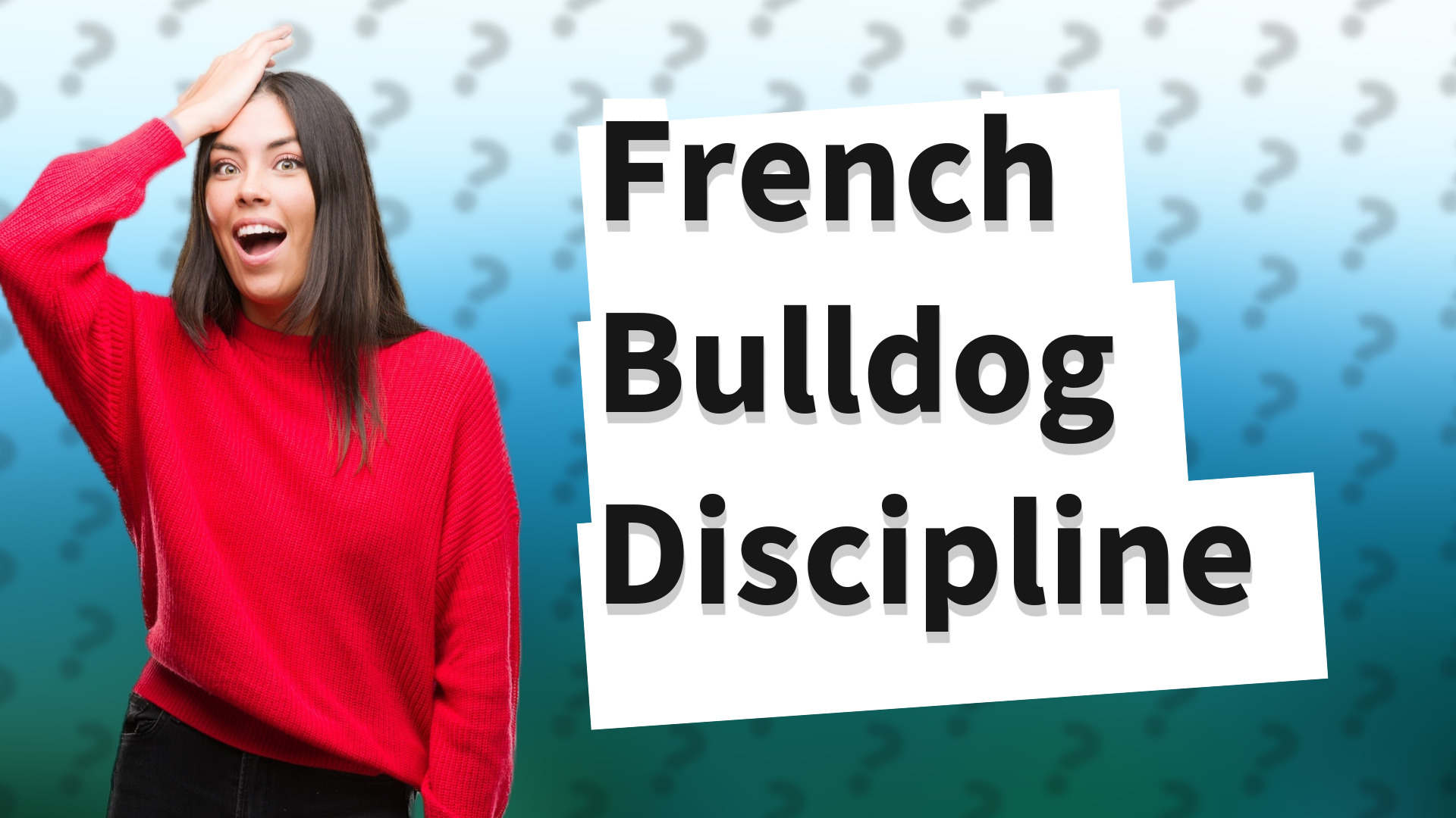 French Bulldog Discipline