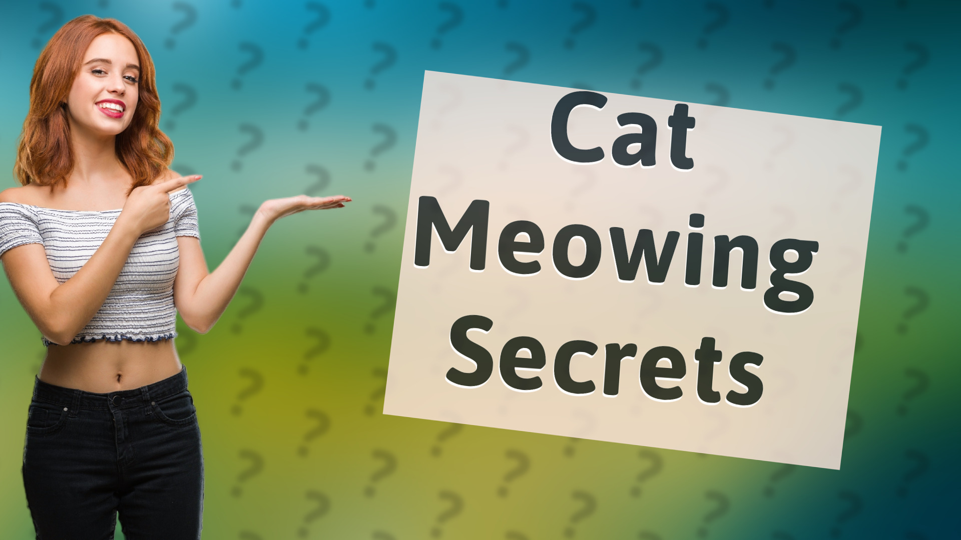 Cat Meowing Secrets