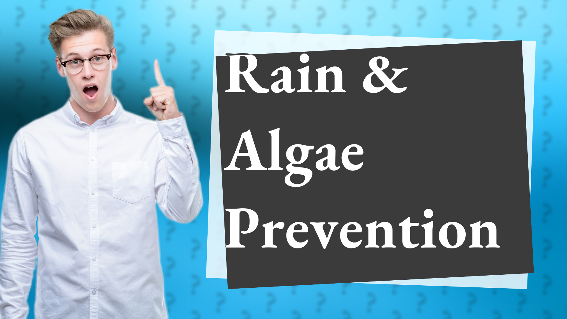 Rain & Algae Prevention