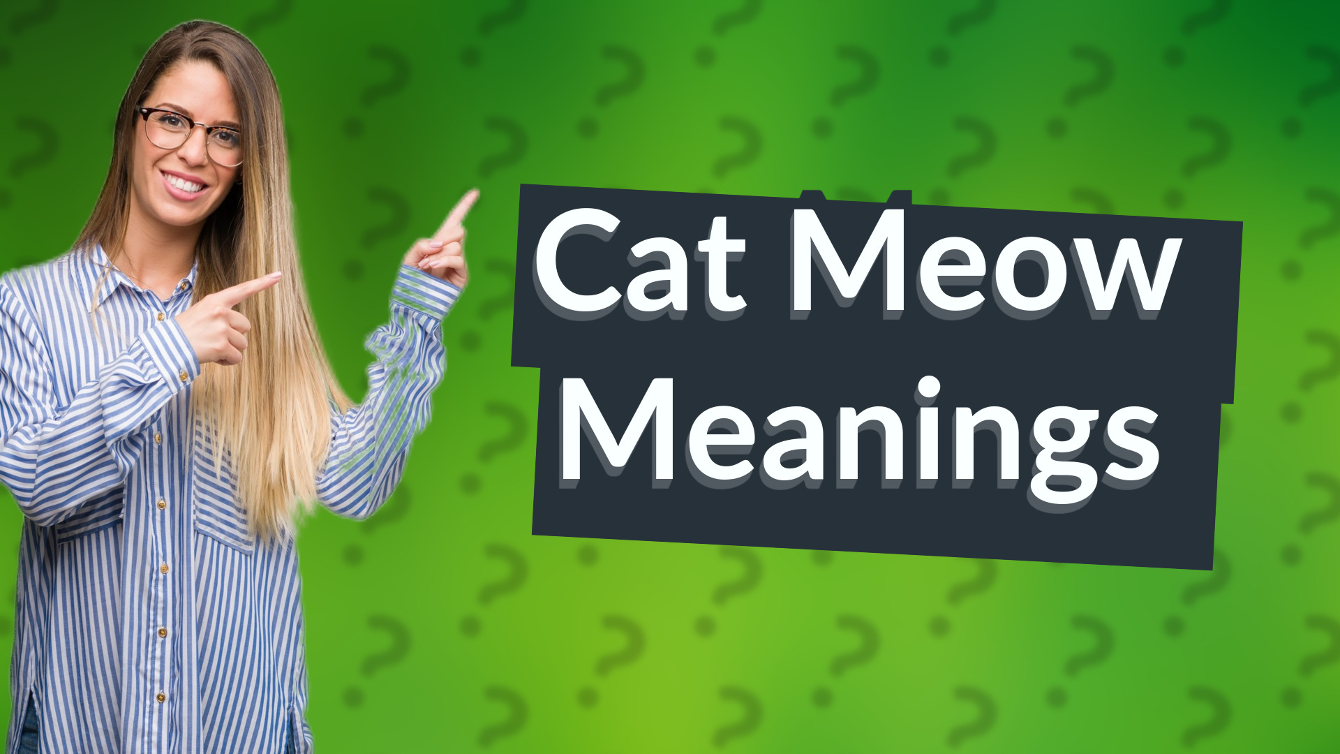 Cat Meow Meanings