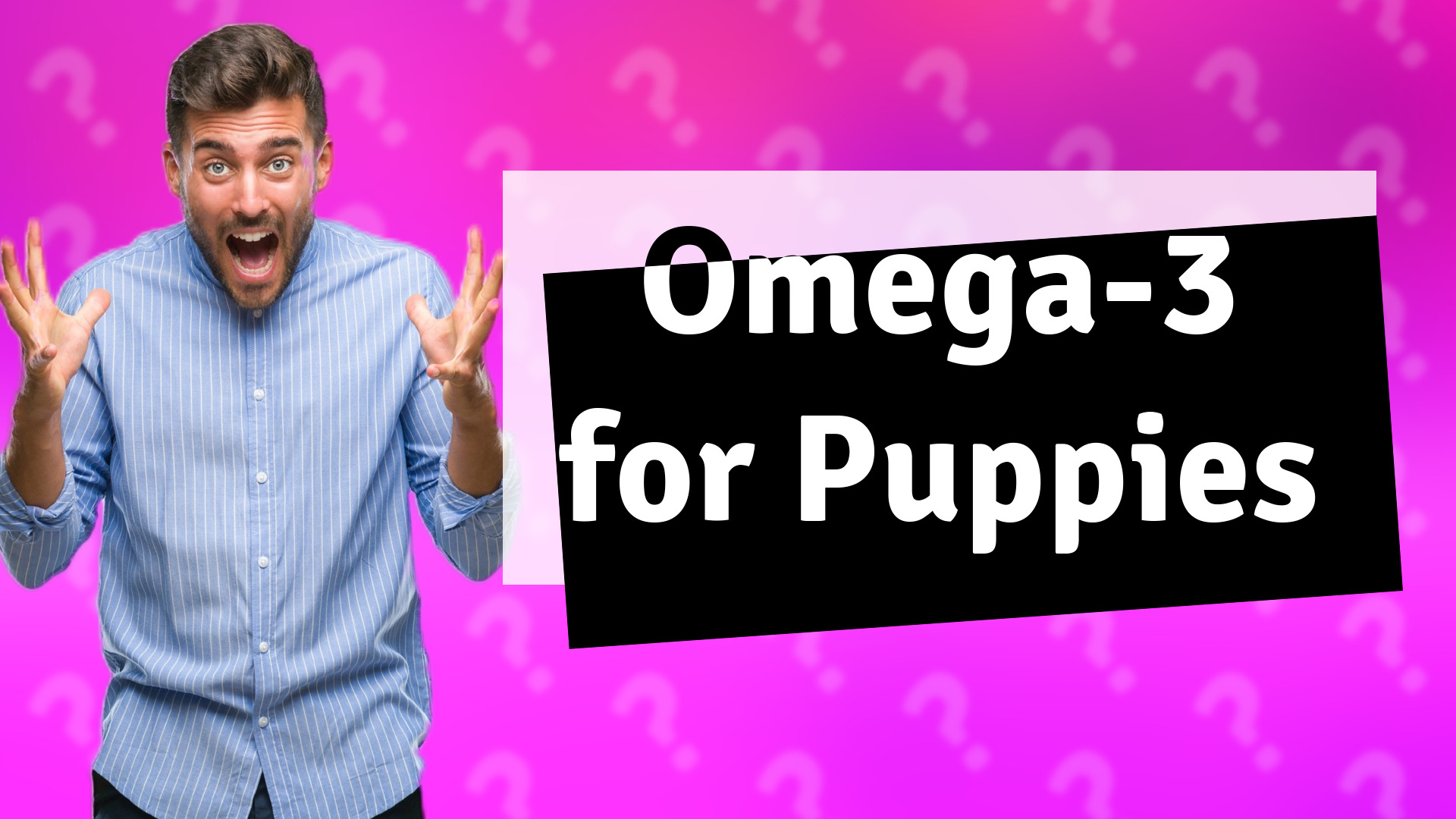 Omega-3 for Puppies