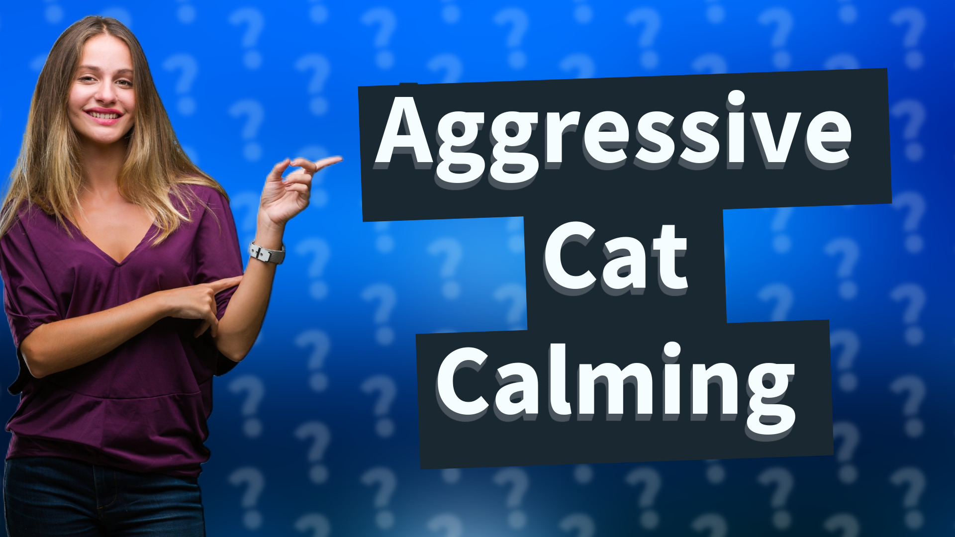 Aggressive Cat Calming