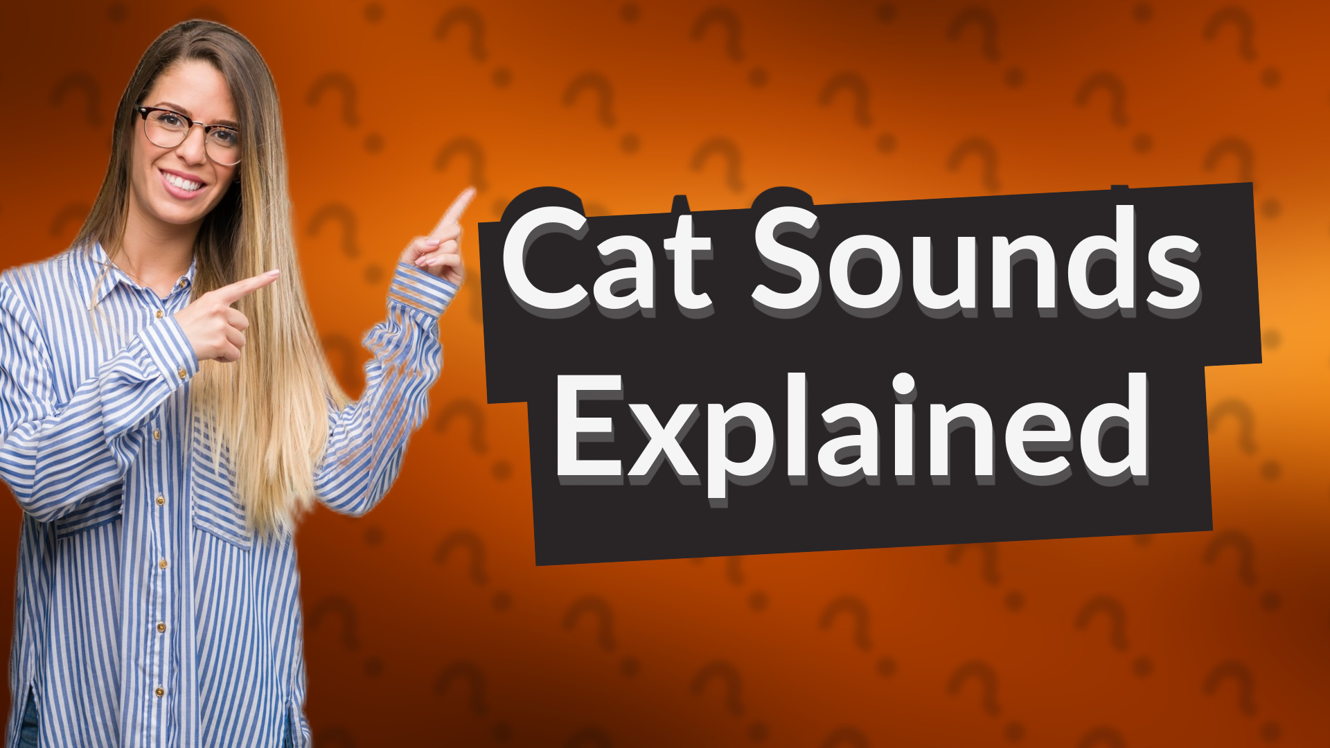Cat Sounds Explained