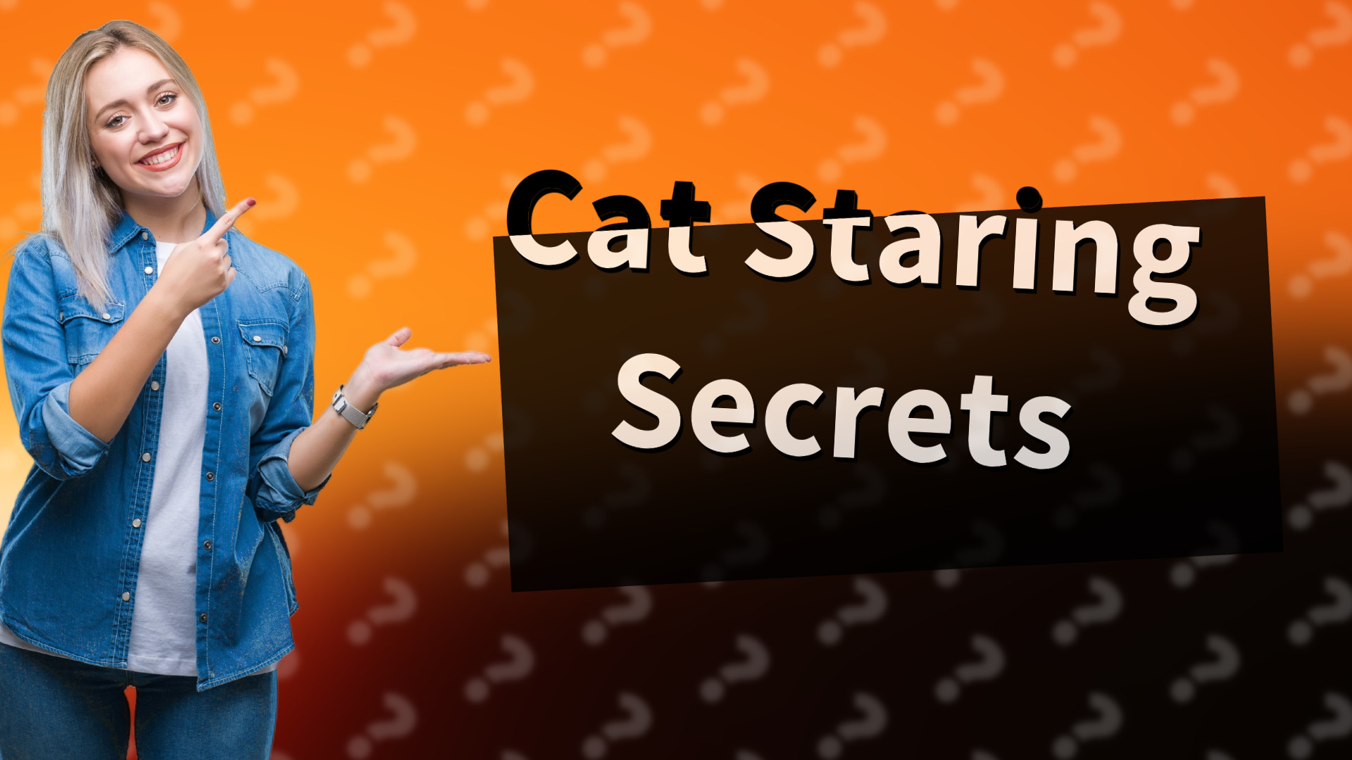 Cat Staring Secrets