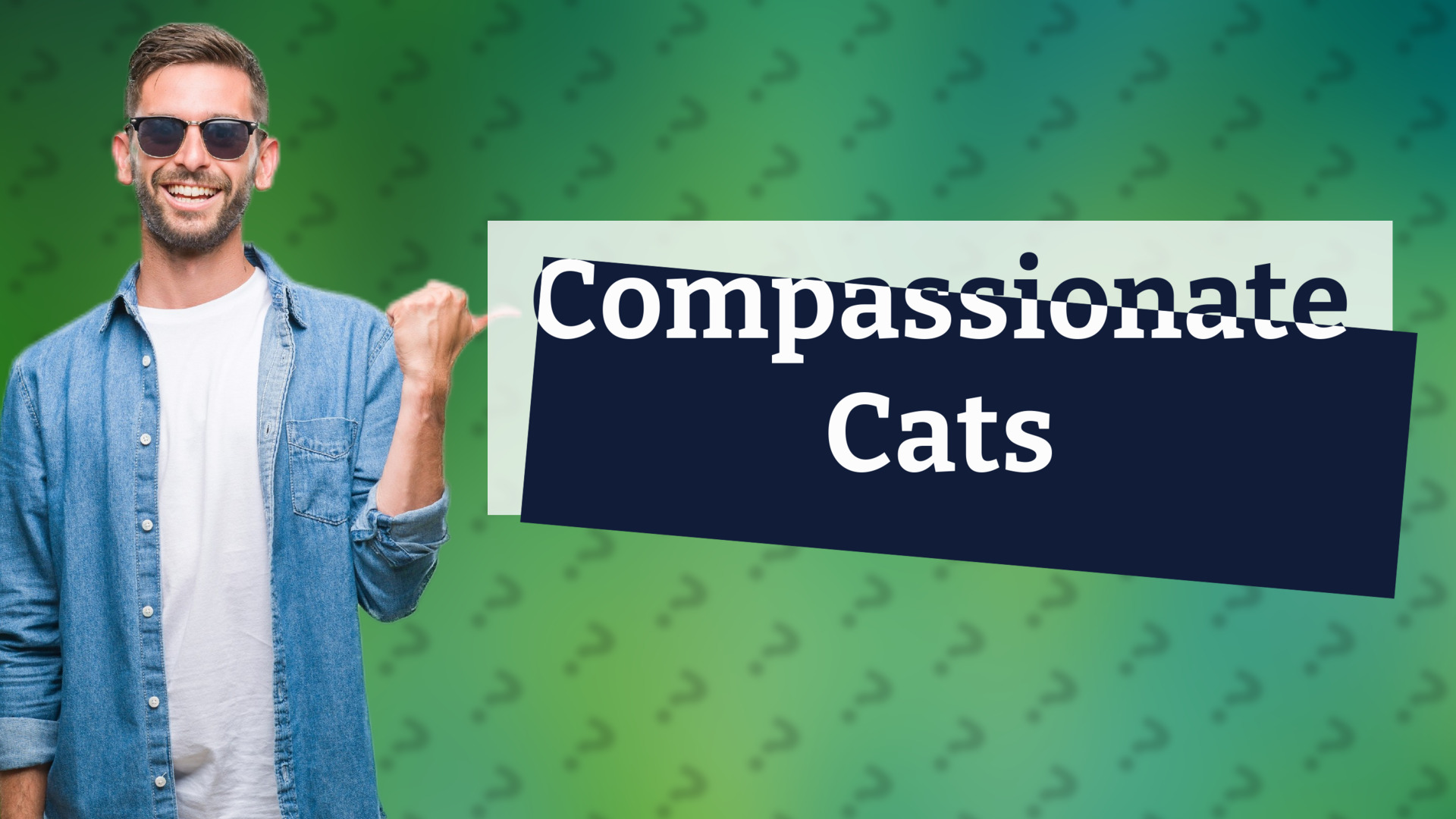 Compassionate Cats